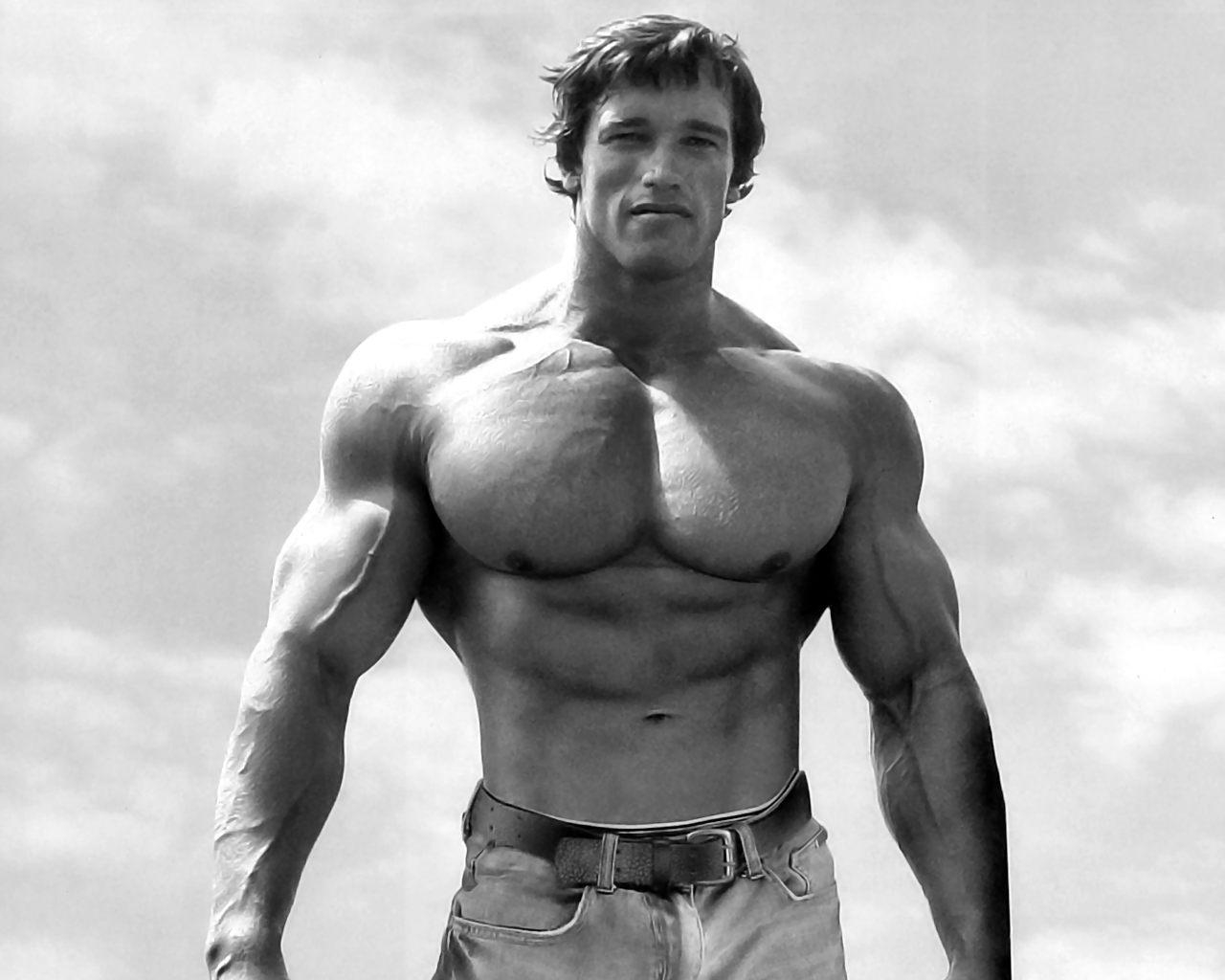 1280x1030 Top Arnold Schwarzenegger Wallpaper with awesome  resolution, Desktop