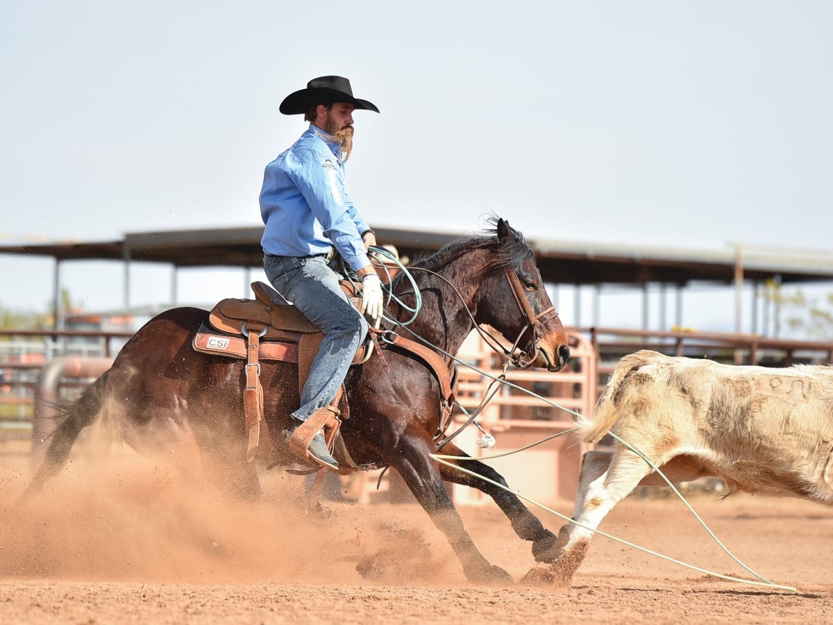 1200x900 Why and How to Keep Your Heel Horse from Reading Your Throw Team Roping Journal, Desktop