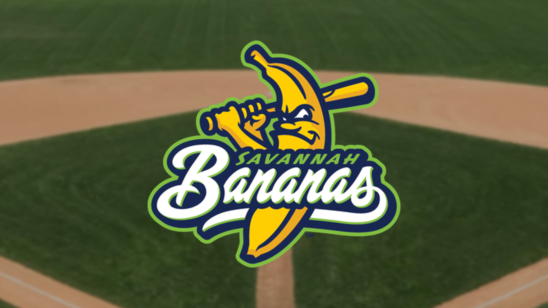 1920x1080 Savannah Bananas president, Desktop