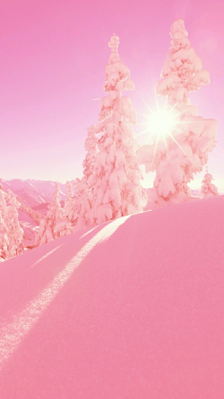 720x1280 Pink Winter Wallpaper Free Pink Winter Background, Phone