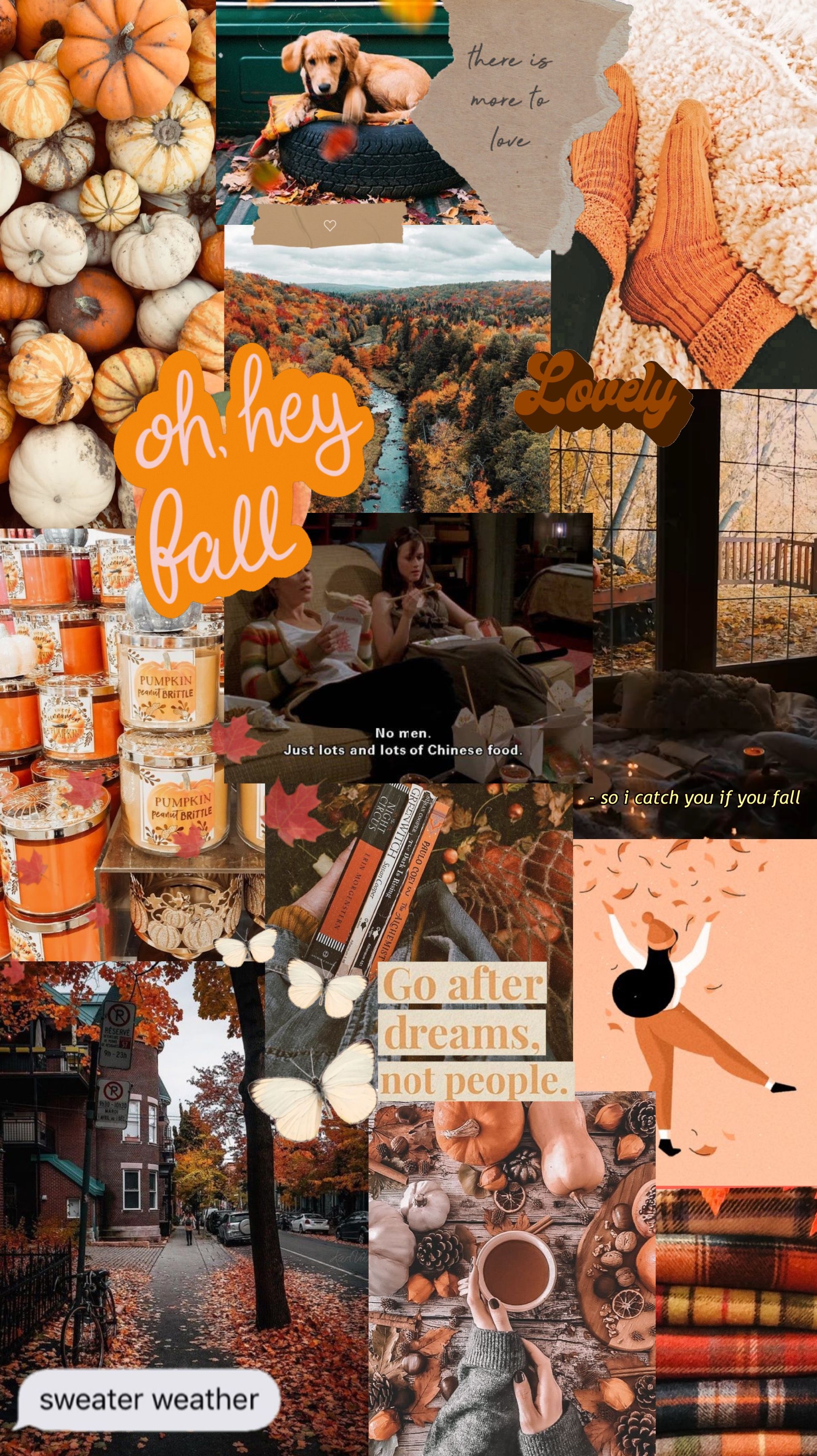 1950x3460 Fall collage background Fall background Collage background Fall iPhone background. iPhone wallpaper fall, Fall background iphone, Cute fall wallpaper, Phone