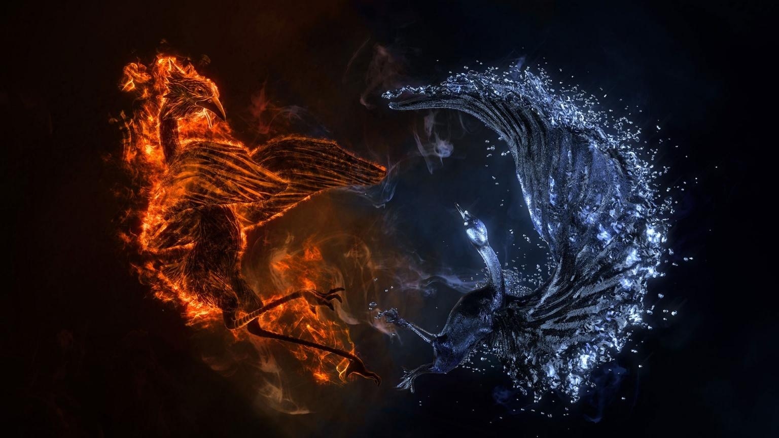 1540x870 Fire and Water Bird, Desktop