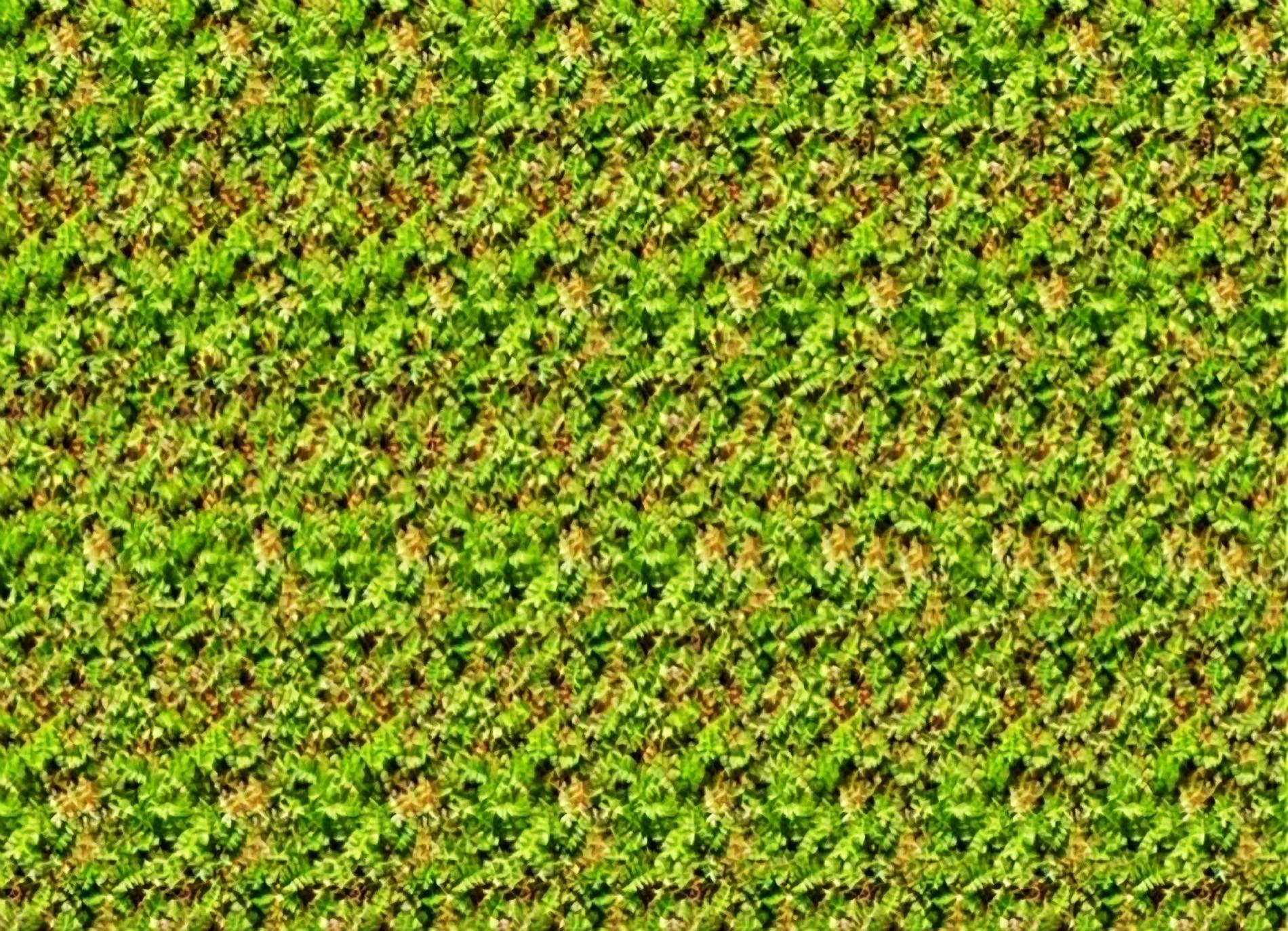 1900x1380 Download Stereogram Wallpaper 1024x768 #, Desktop