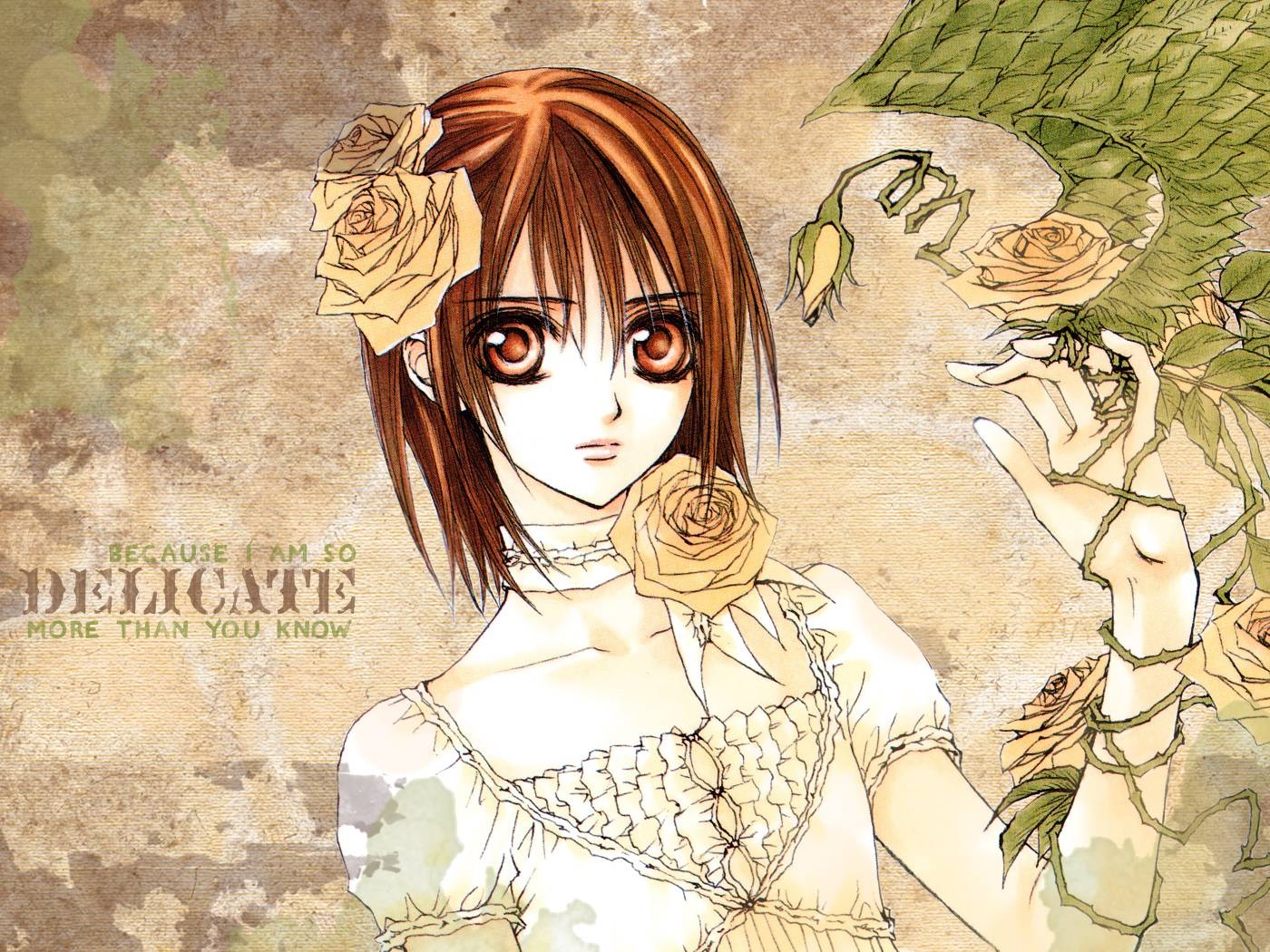 1400x1050 Vampire Knight Knight Wallpaper, Desktop