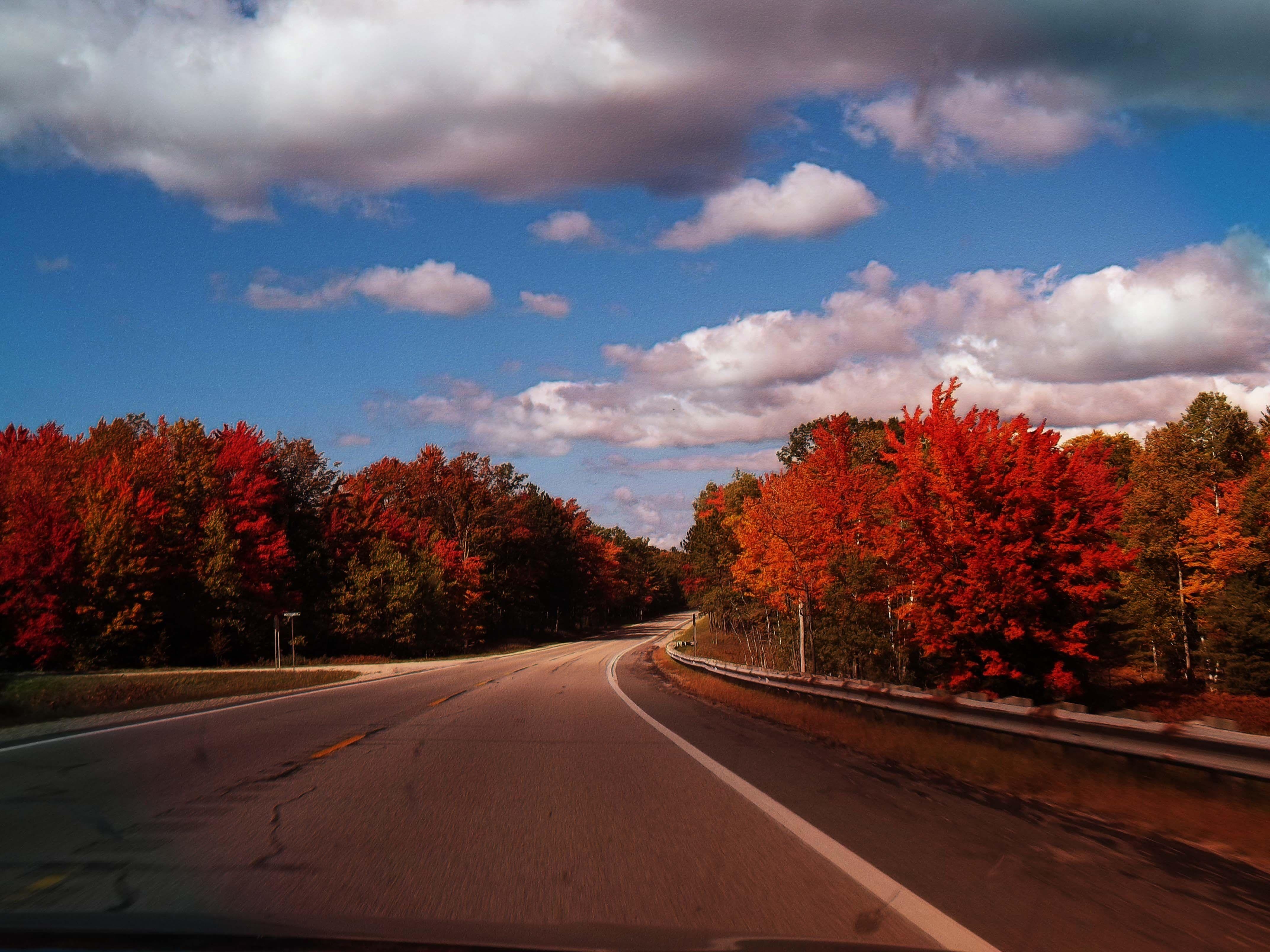 4290x3220 Forests: Clouds Road Trees Roadtrip Trip Colors Aututmn Fall Autumn, Desktop