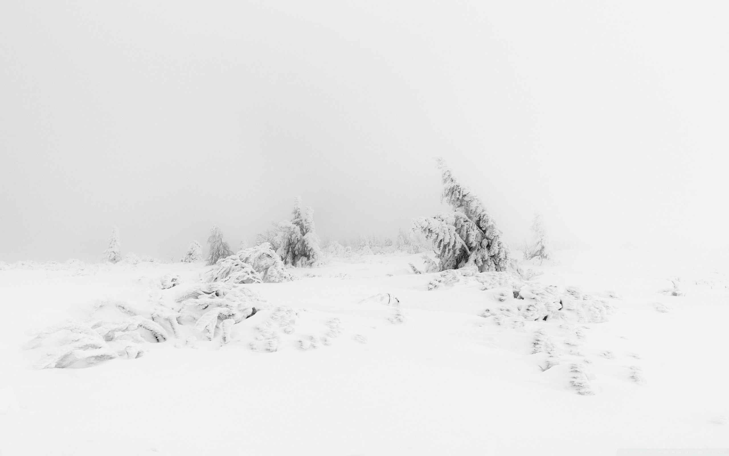 2560x1600 Winter Aesthetic Wallpaper Free Winter Aesthetic Background, Desktop