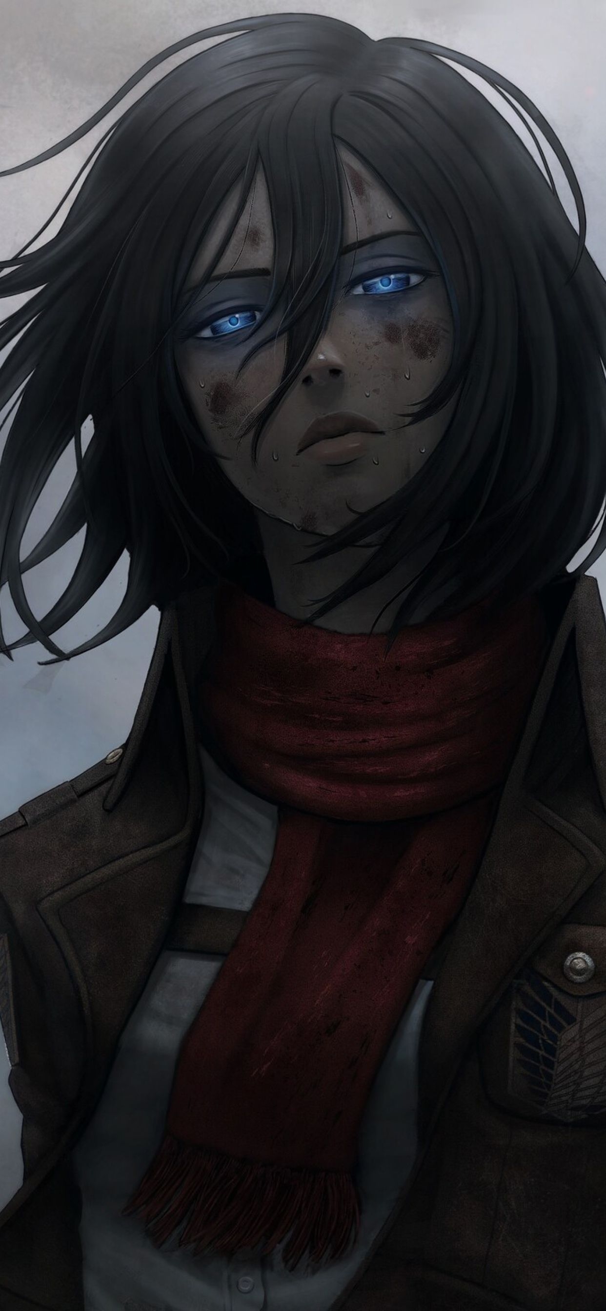 1250x2690 Aot Mikasa Phone Wallpaper, Phone