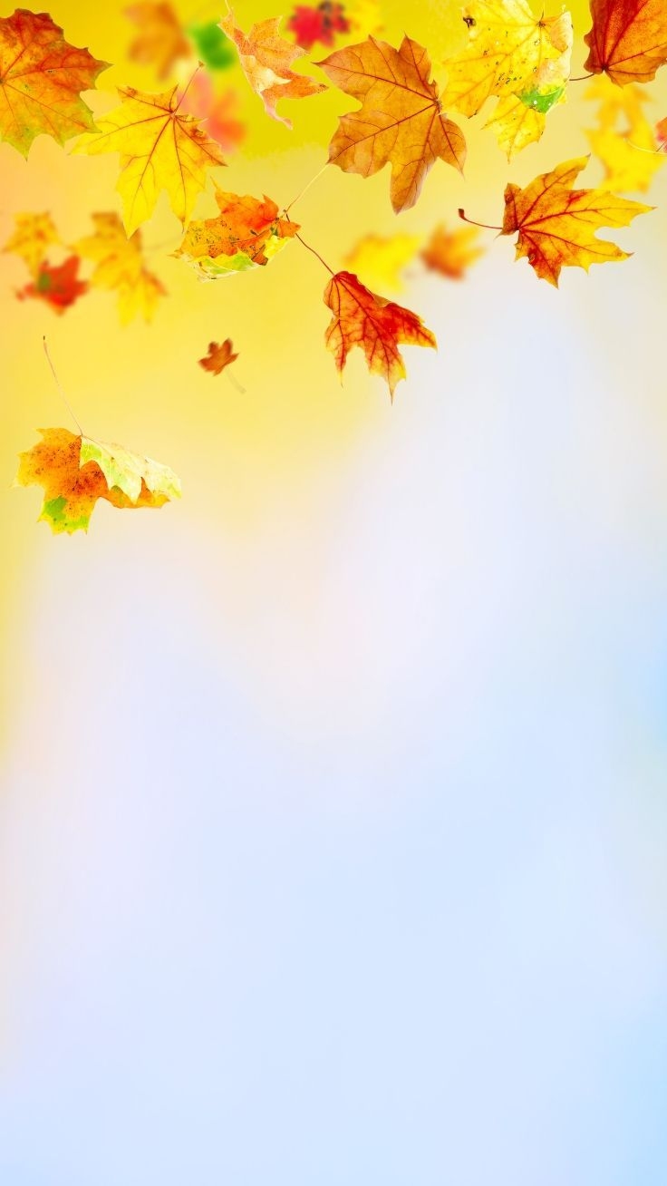 740x1310 iPhone Wallpaper To Fall In Love With Autumn. Preppy Wallpaper. Fall wallpaper, iPhone wallpaper fall, Preppy wallpaper, Phone