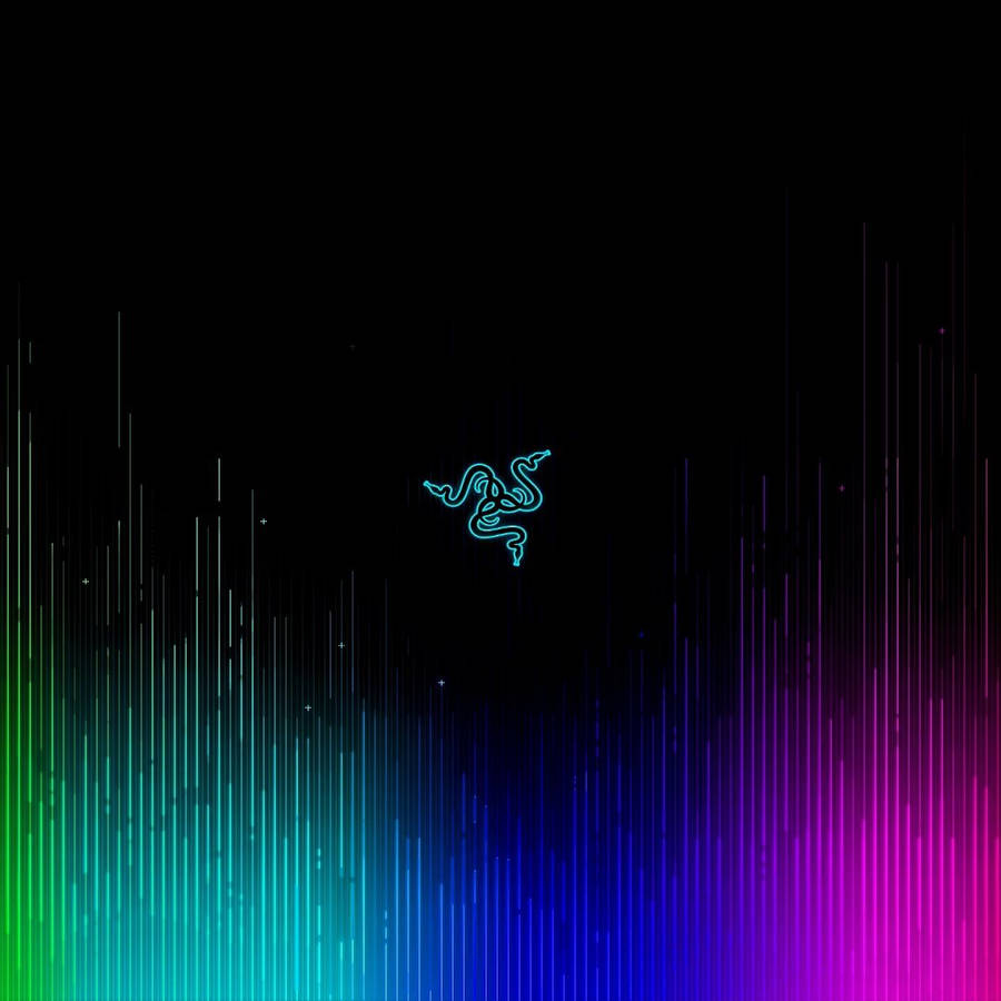 900x900 Download Rgb Wallpaper, Phone