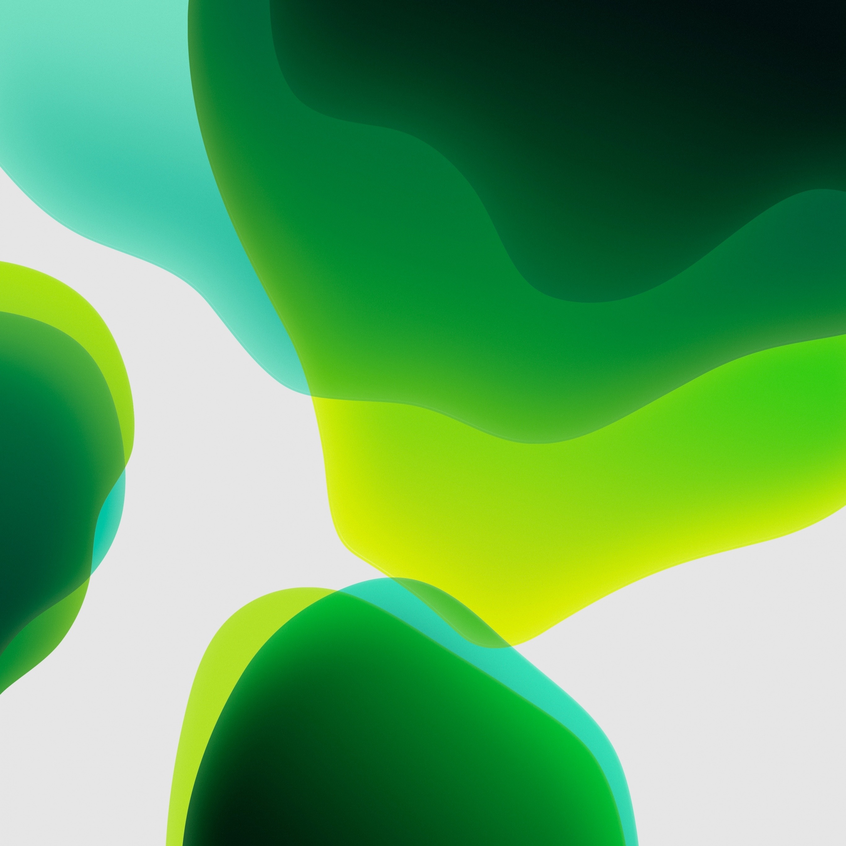 2740x2740 iPadOS Wallpaper 4K, Stock, Green, White background, iPad, iOS HD, Abstract, Phone