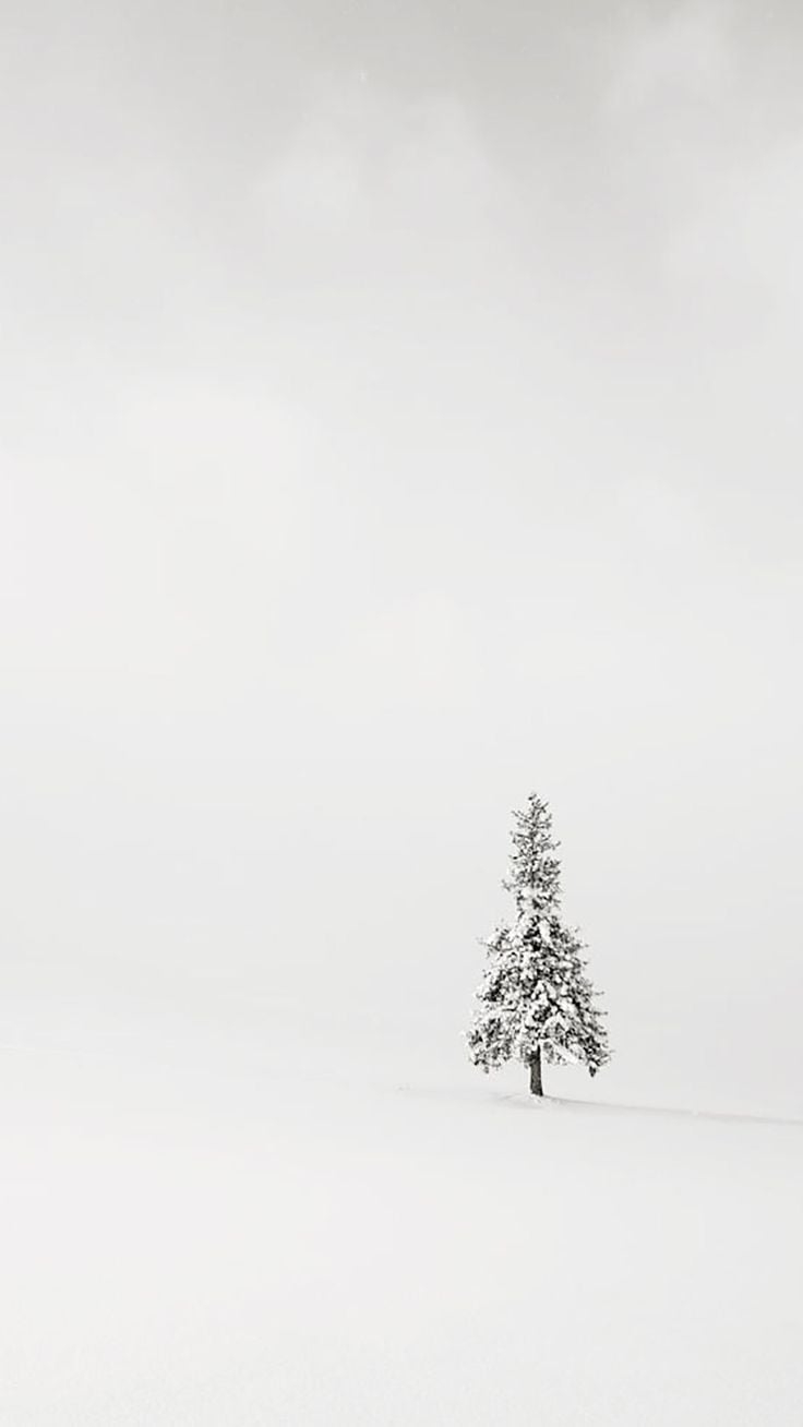 740x1310 Best Minimalist Wallpaper For Your Phones. Tree wallpaper iphone, Minimalist wallpaper, White wallpaper, Phone