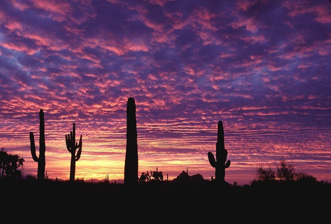 1100x750 AZ Sunset Wallpaper, Desktop