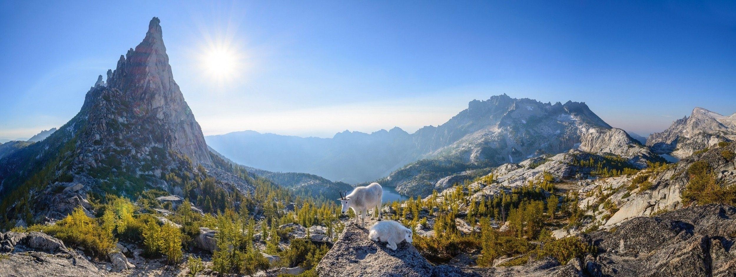 2500x950 nature, Landscape, Panoramas, Mountain, Lake, Goats, Trees, Sun, Dual Screen