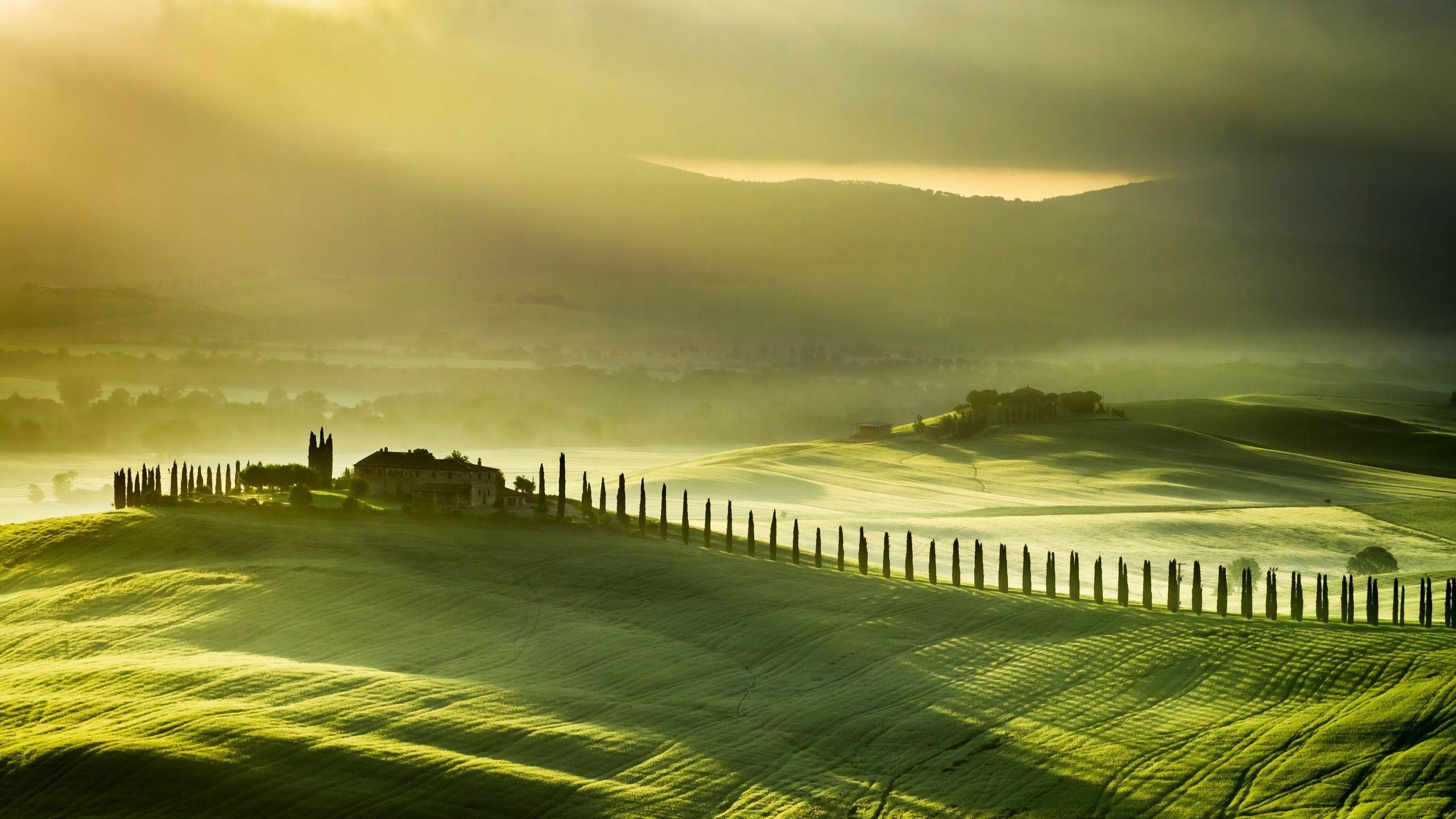 2560x1440 Wallpaper tuscany, italy, field, fog, landscape wallpaper, Desktop