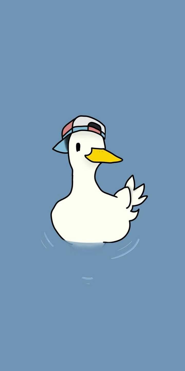 720x1440 Duck Wallpaper Explore more Animal, Duck, Family Anatidae, Floatable, Waterfowl wallpaper.. Duck wallpaper, Cute cartoon wallpaper, Cute doodles, Phone