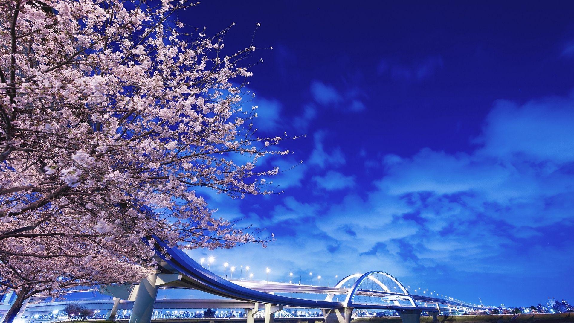 1920x1080 Download wallpaper  japan, hokkaido, bridge, sakura HD, Desktop