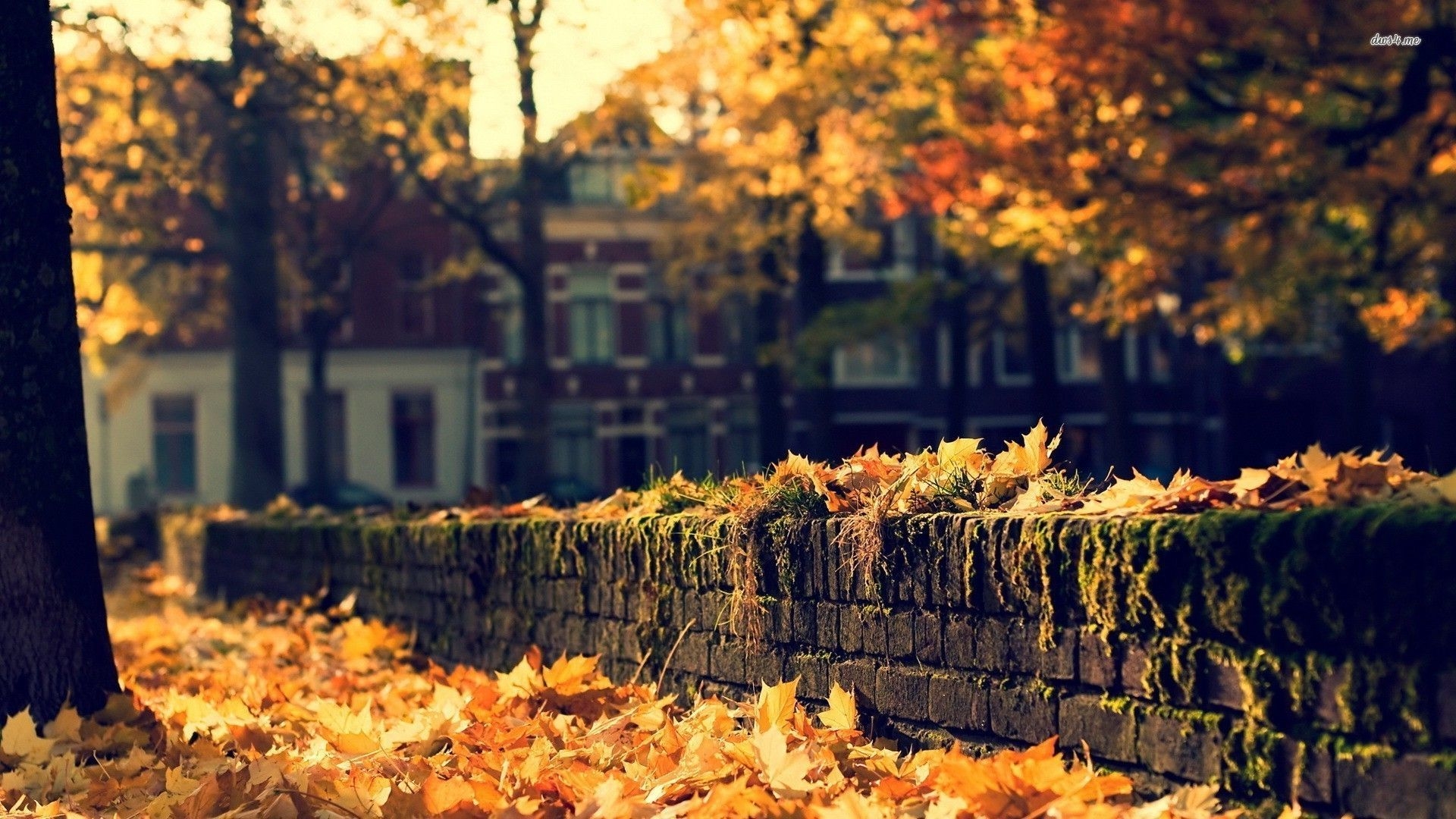 1920x1080 Cozy Autumn Wallpaper Free Cozy Autumn Background, Desktop