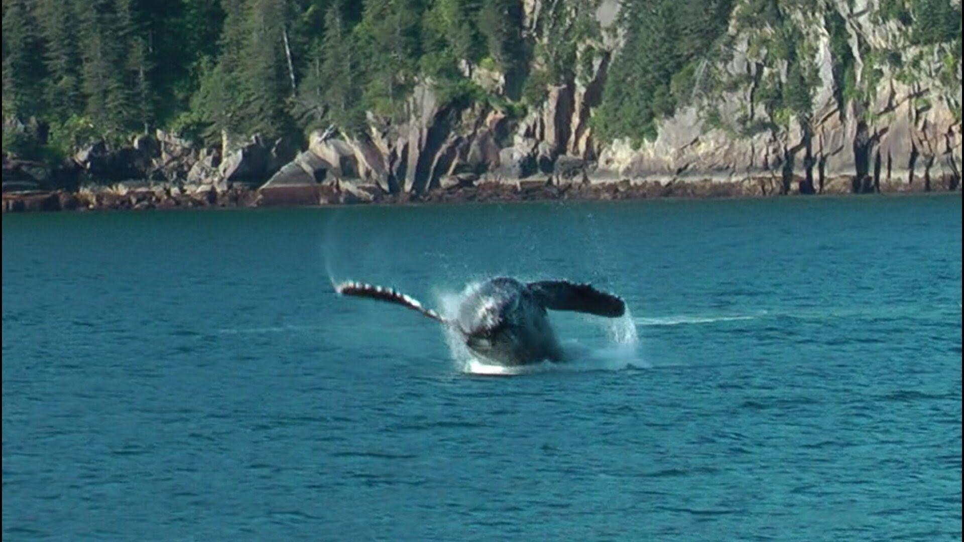 1920x1080 Kenai Fjords National Park, Desktop