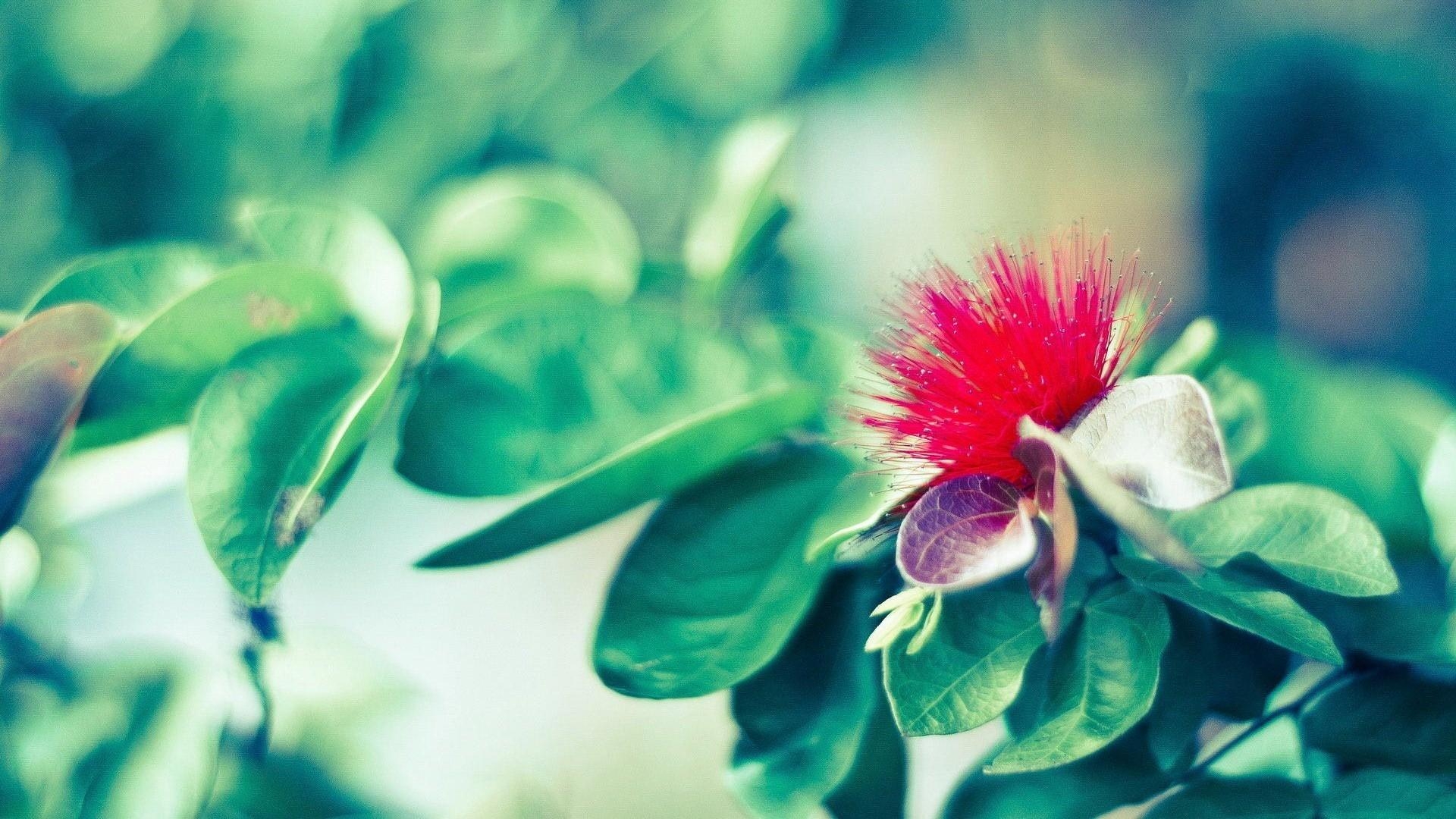 1920x1080 Aesthetic Background HD Wallpaper Desktop Image Download, Desktop