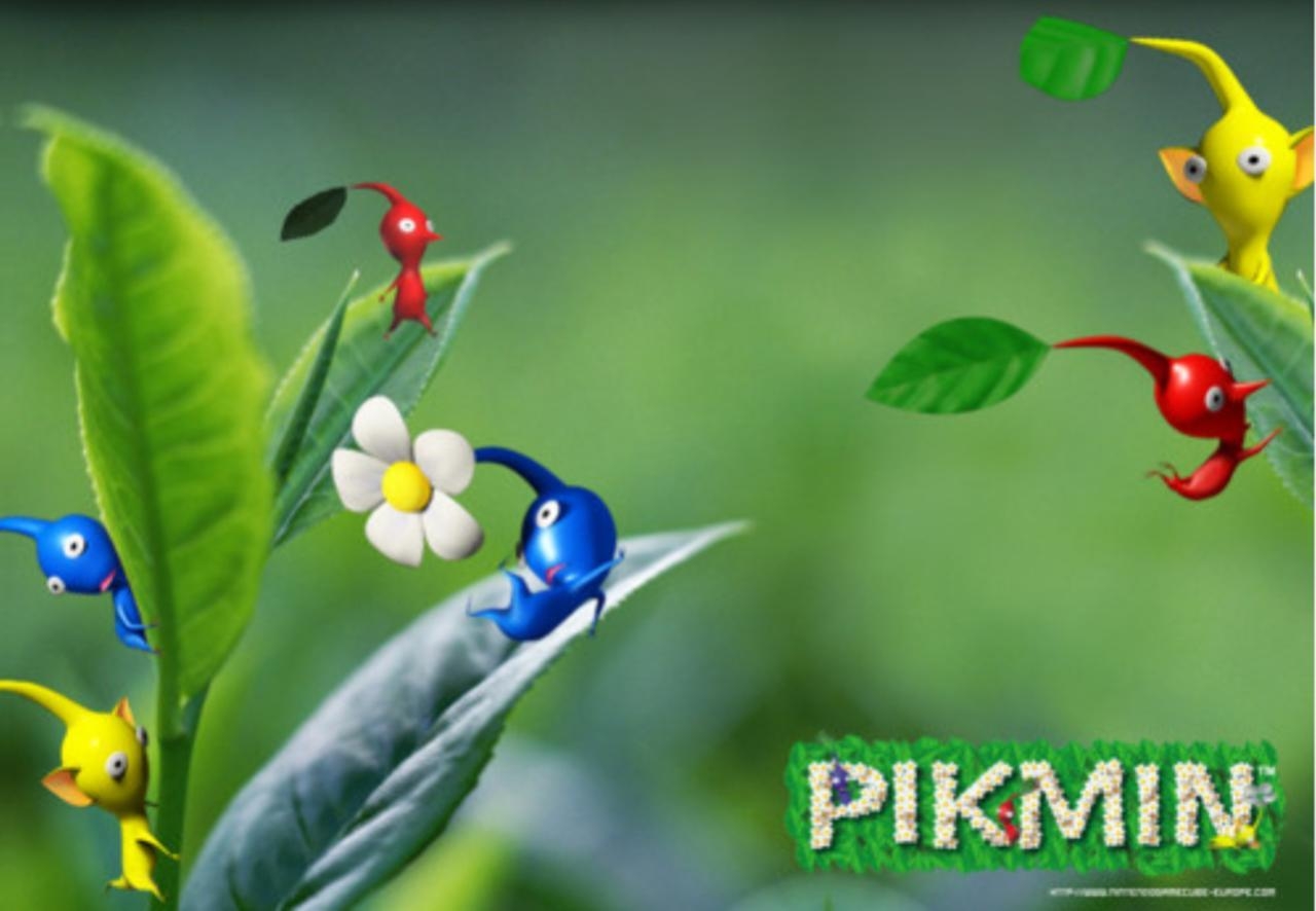 1280x890 Leaf Wallpaper, Desktop