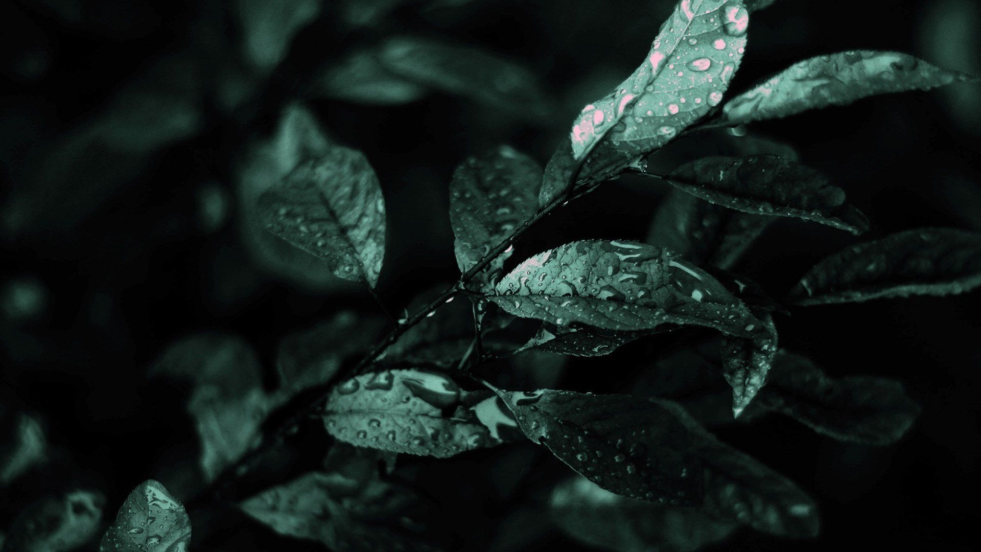 1920x1080 Green Aesthetic Wallpaper: Image, Desktop