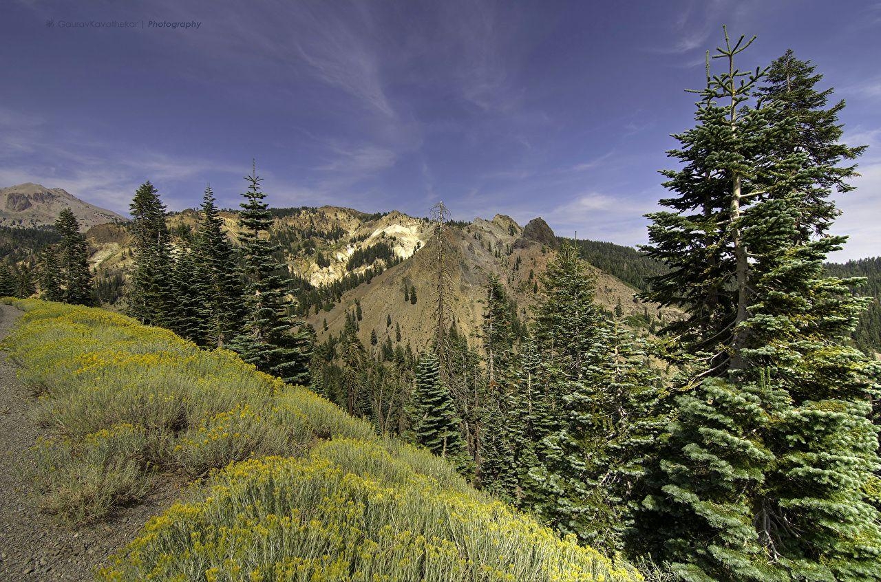 1280x850 Photos California USA Lassen Volcanic National Park Nature Spruce, Desktop