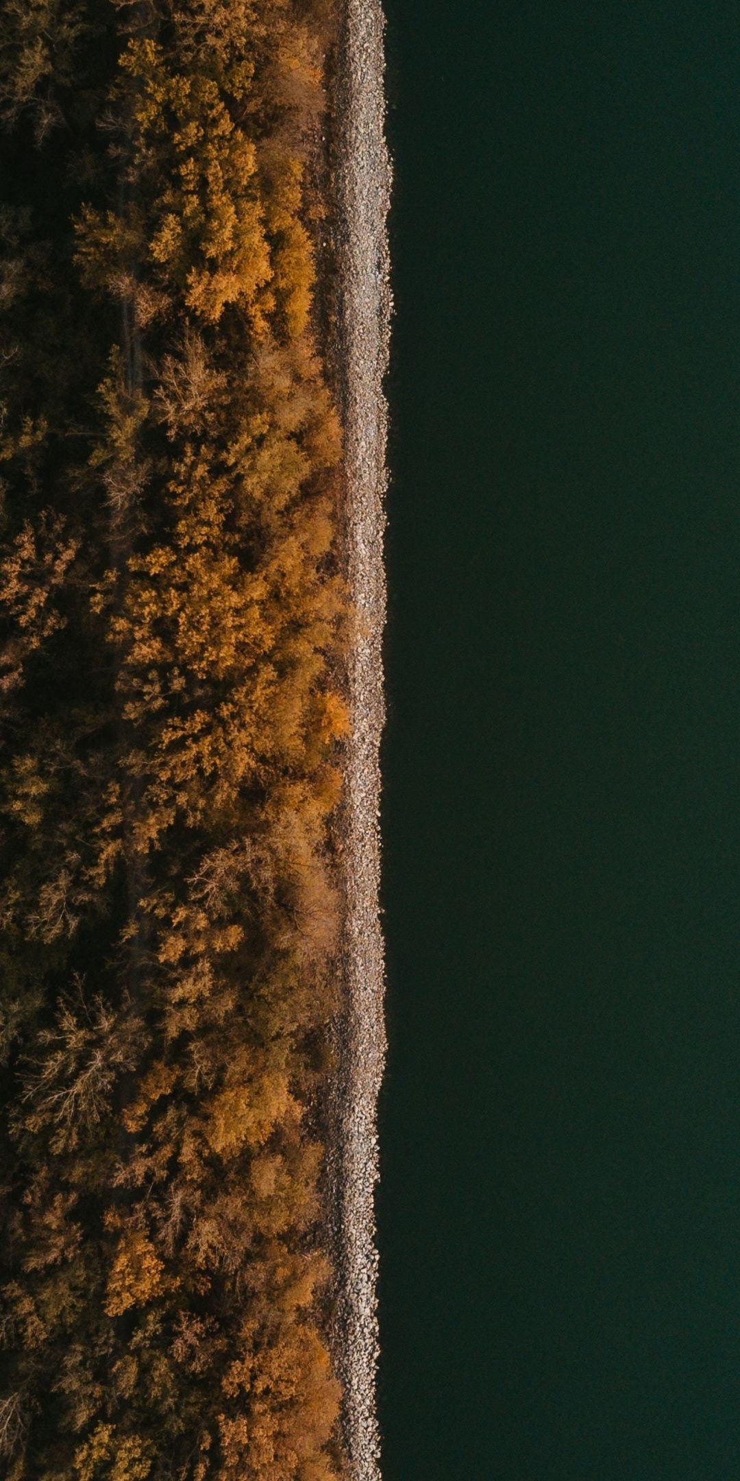 1080x2160 Split, coast, tree, river, aerial view,  wallpaper. Wallpaper iphone roses, iPhone wallpaper texture, Color wallpaper iphone, Phone