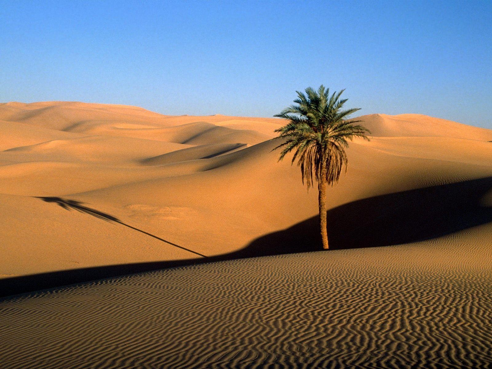 1600x1200 Sahara Desert High Quality Wallpaper, Desktop