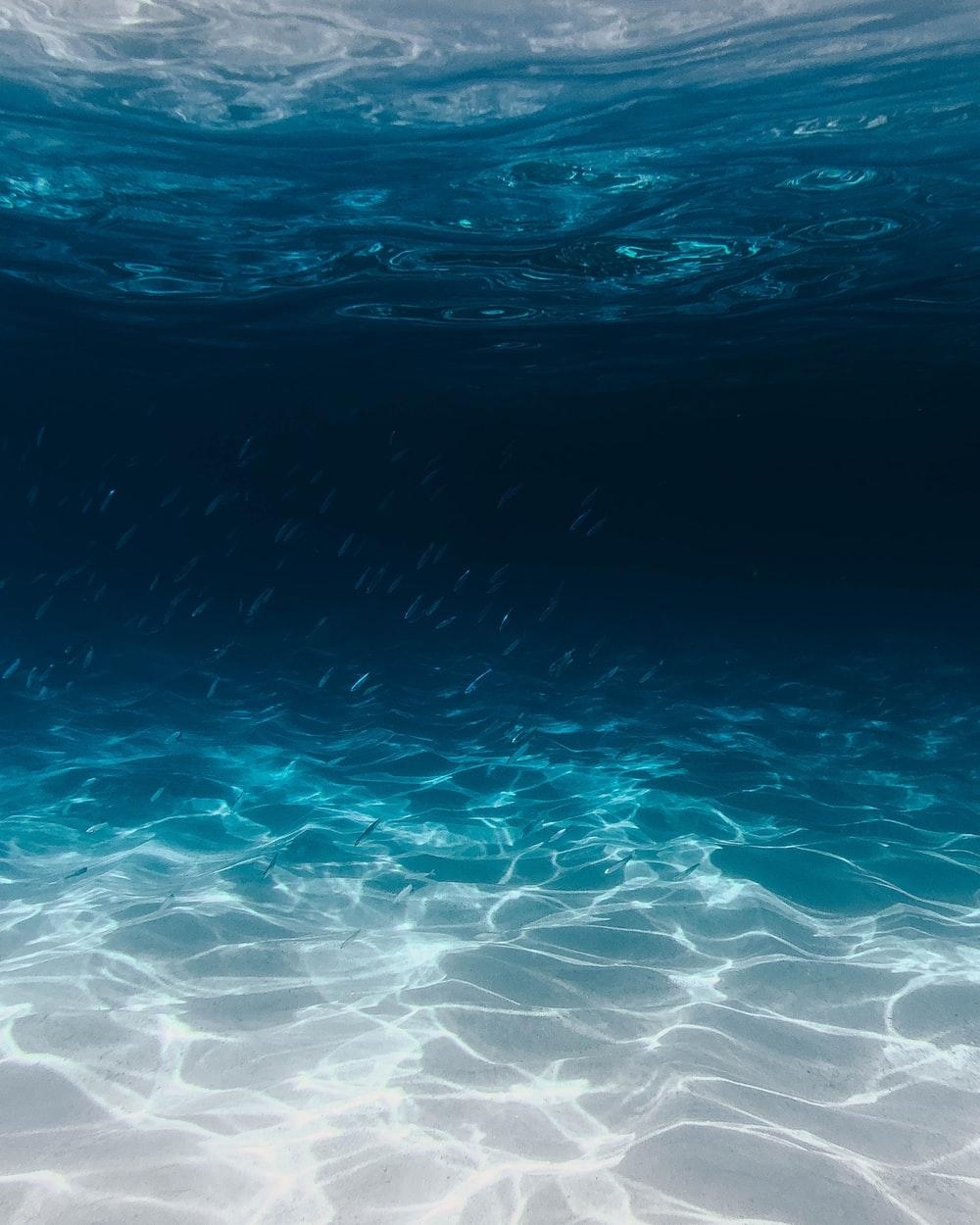 1000x1250 Ocean Wallpaper: Free HD Download [HQ], Phone