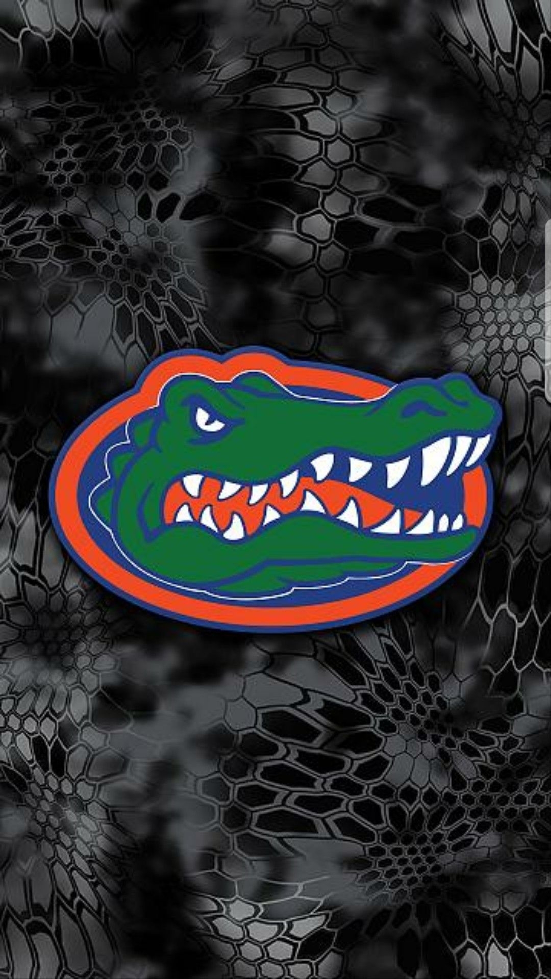 1080x1920 Florida gators wallpaper, Gator nation, Phone