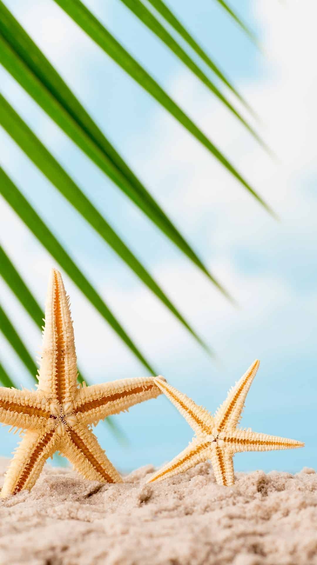 1080x1920 Summer iPhone Wallpaper, Phone