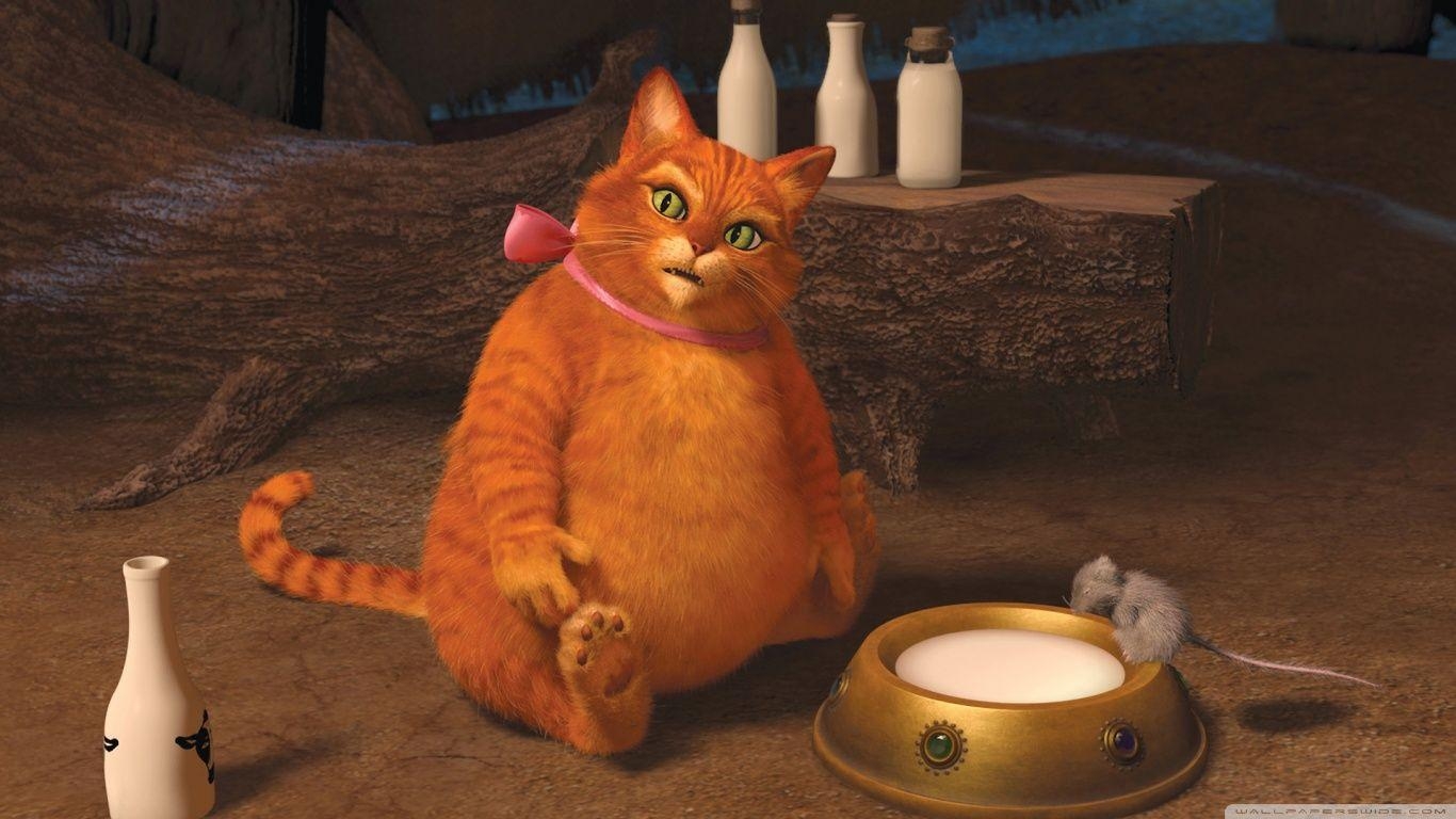 1370x770 Puss in Boots, Shrek Forever After HD desktop wallpaper, Desktop