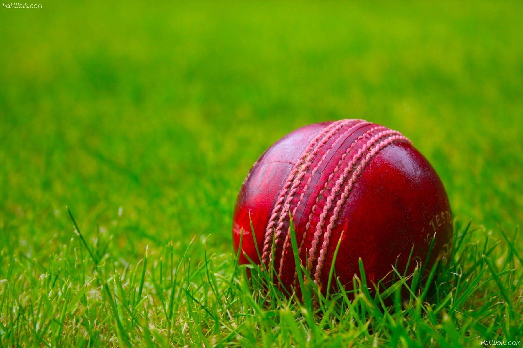 1800x1200 Cricket Wallpaper Free Cricket Background, Desktop