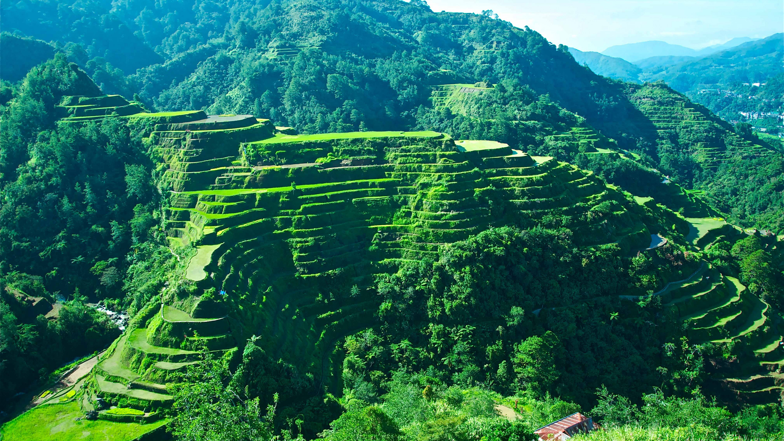 2560x1440 Wallpaper Cropper Rice Terraces 2560 by 1440 (990), Desktop