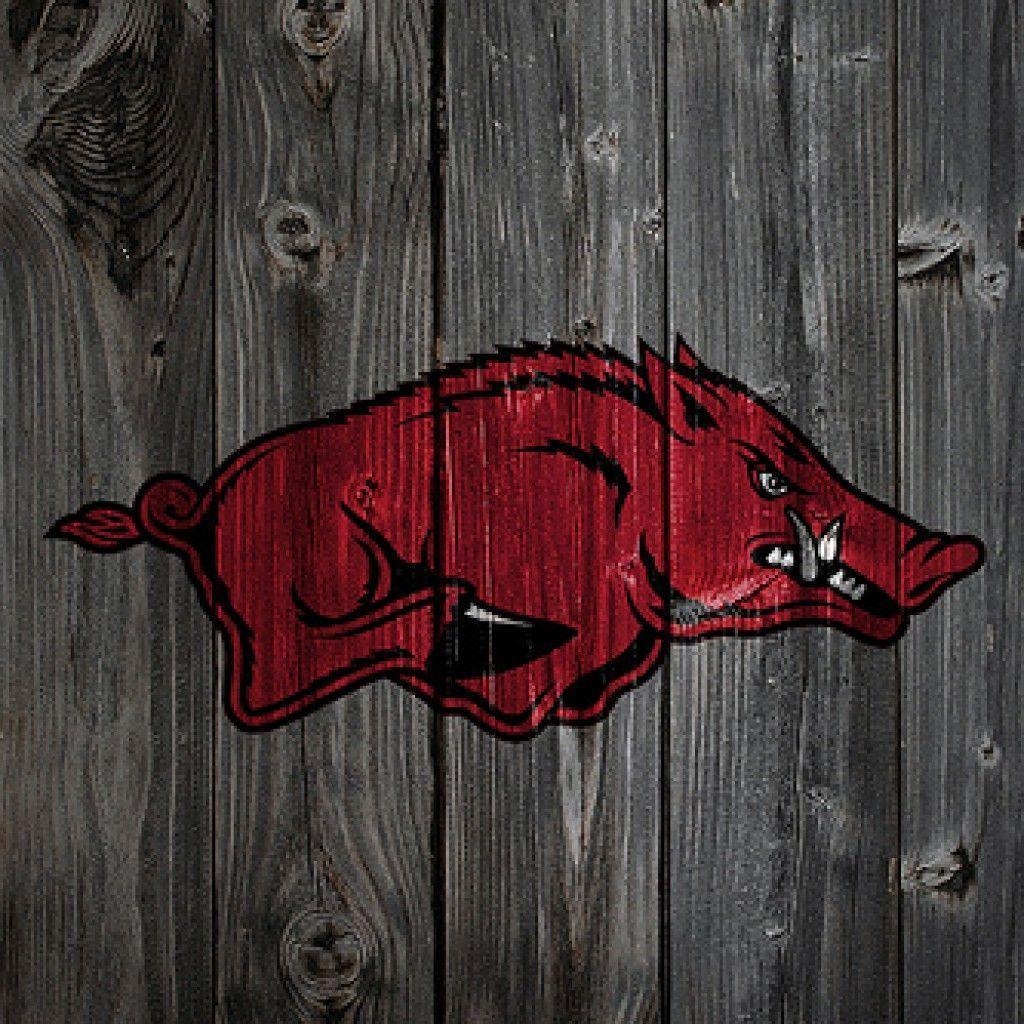 1030x1030 arkansas razorbacks football.. arkansas razorbacks football, Phone