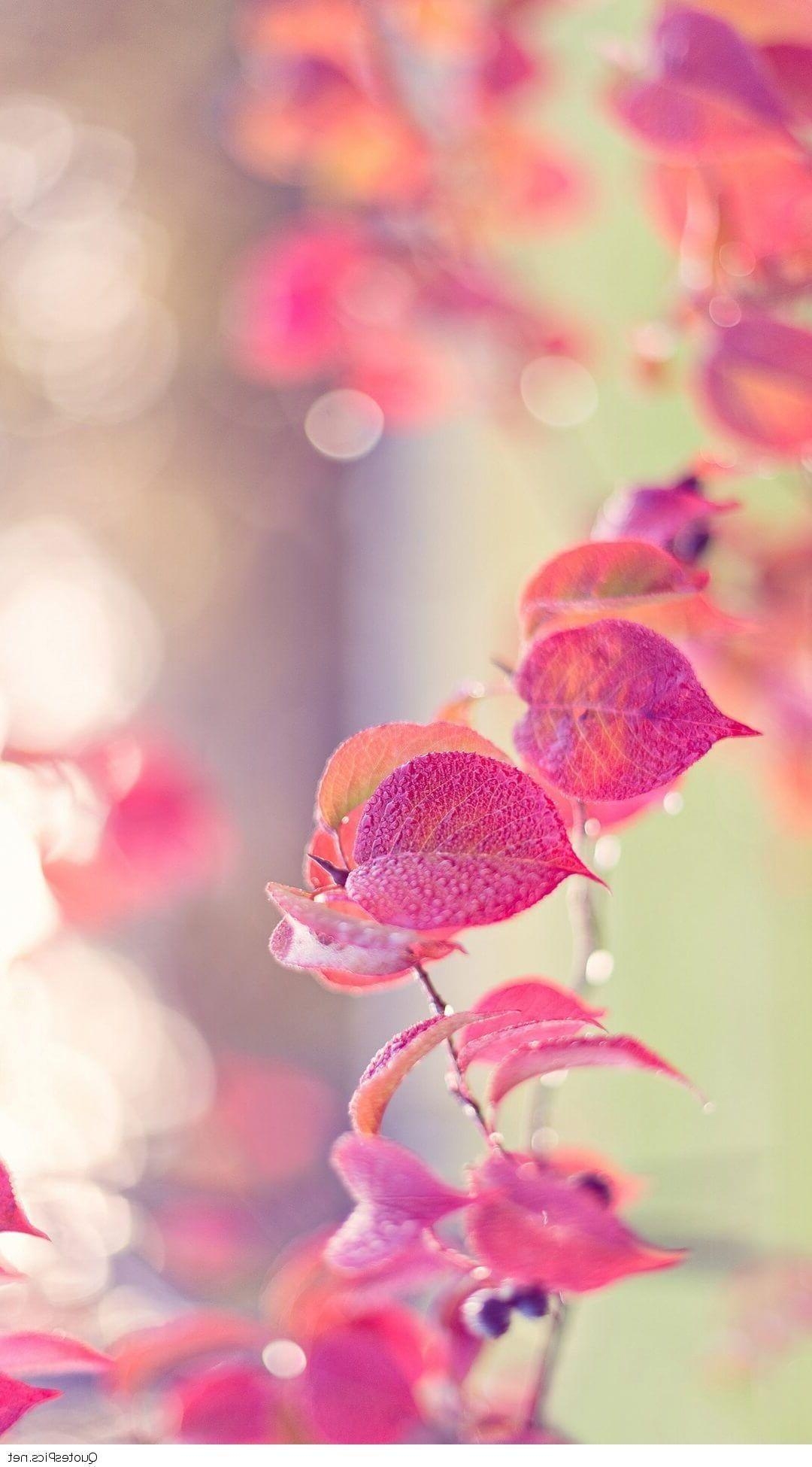 1080x1950 Wallpaper iPhone Cute Girly. Flower iphone wallpaper, Best, Phone