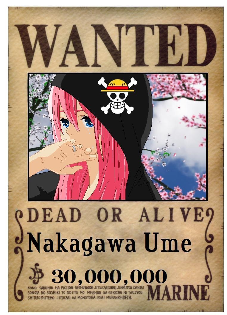 770x1060 One Piece: Ume's First Wanted Poster By Monkeyking Nee Chan, Phone