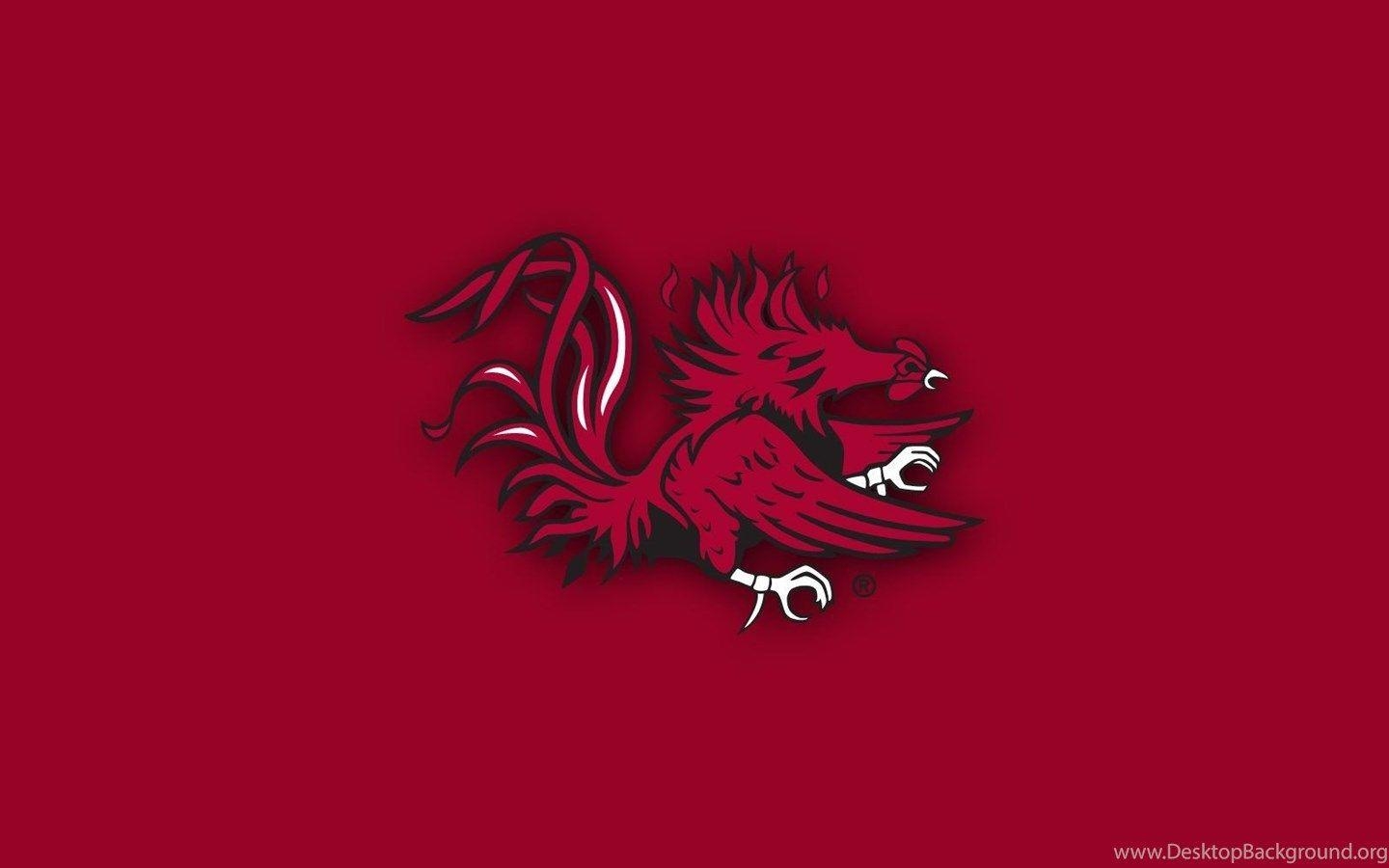 1440x900 SOUTH CAROLINA GAMECOCKS College Football Wallpaper Desktop Background, Desktop