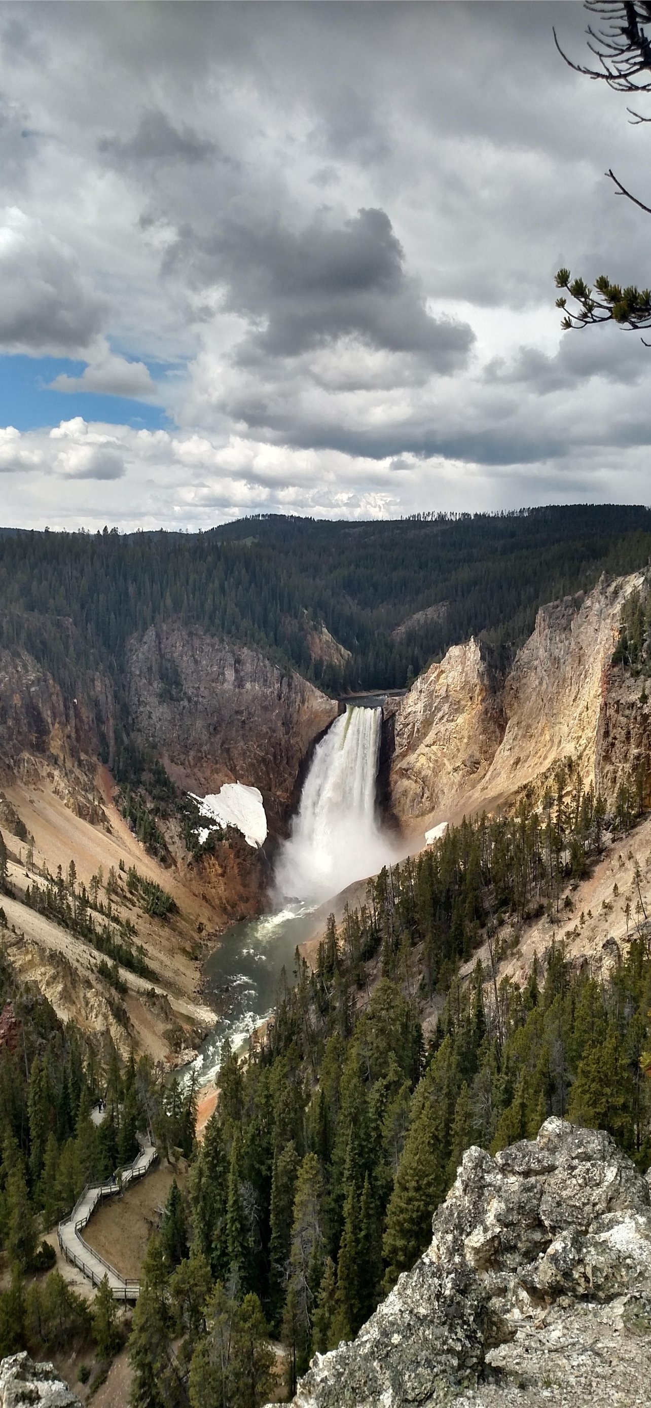 1290x2780 Best Yellowstone national park iPhone, Phone