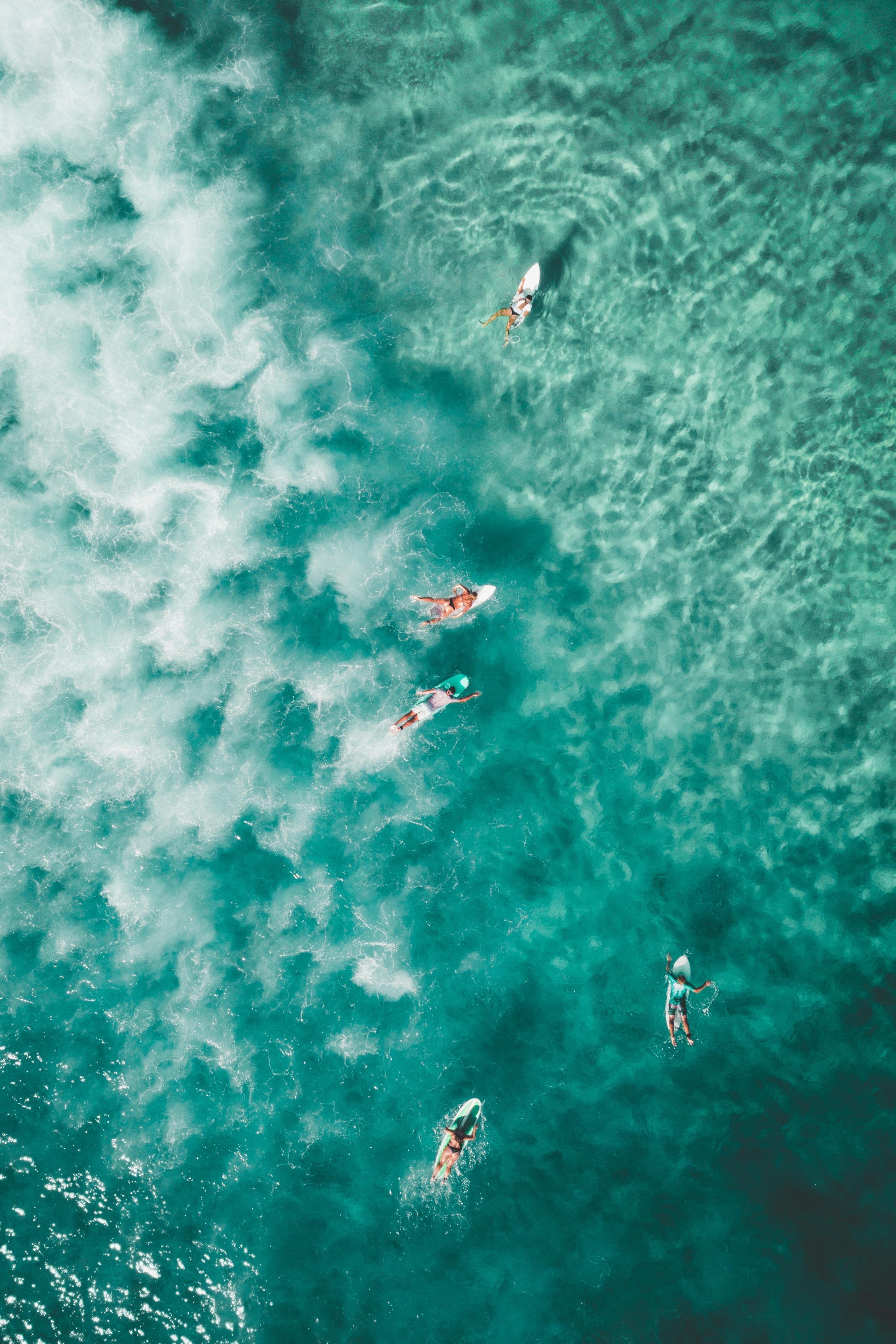 2670x4000 Download Bondi Beach Surfers Android Wallpaper, Phone