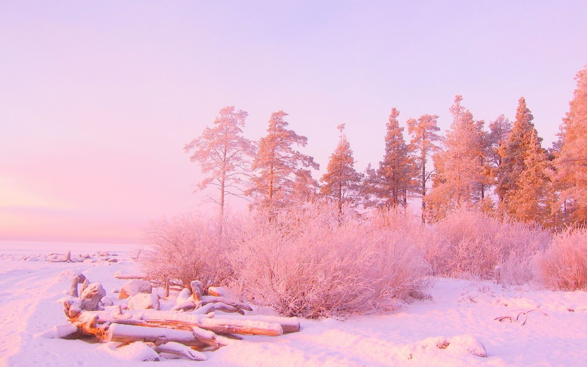 1920x1200 Winter Aesthetic Wallpaper, Desktop