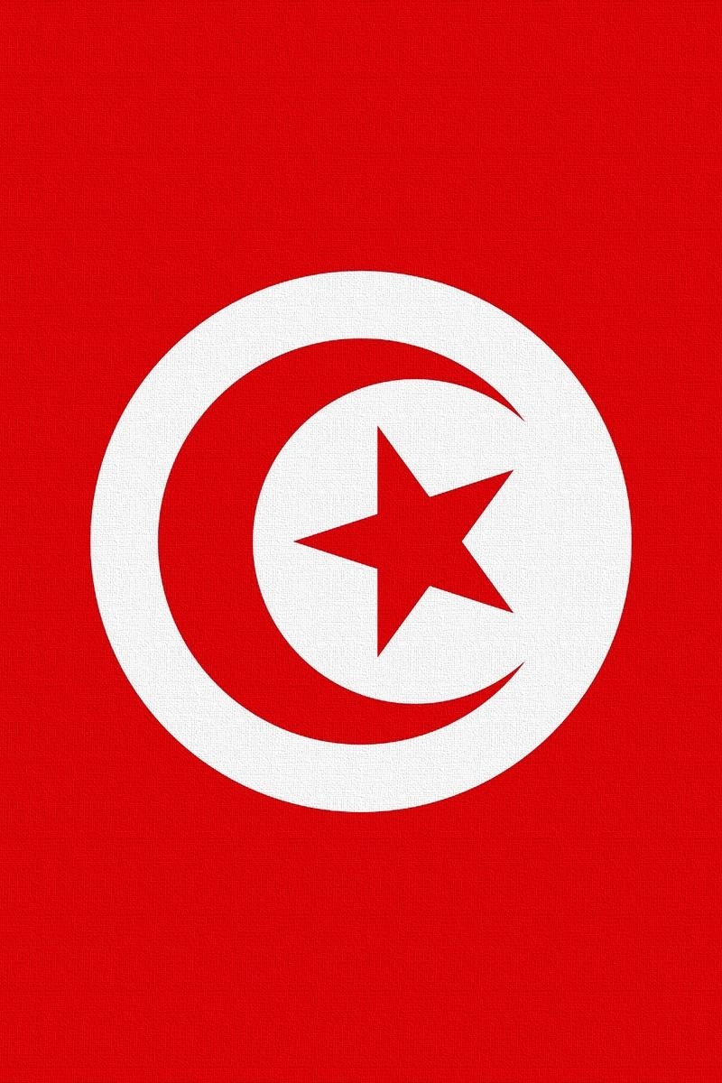 800x1200 Download Wallpaper  Tunisia, Flag, Star, Symbols Iphone 4s 4, Phone