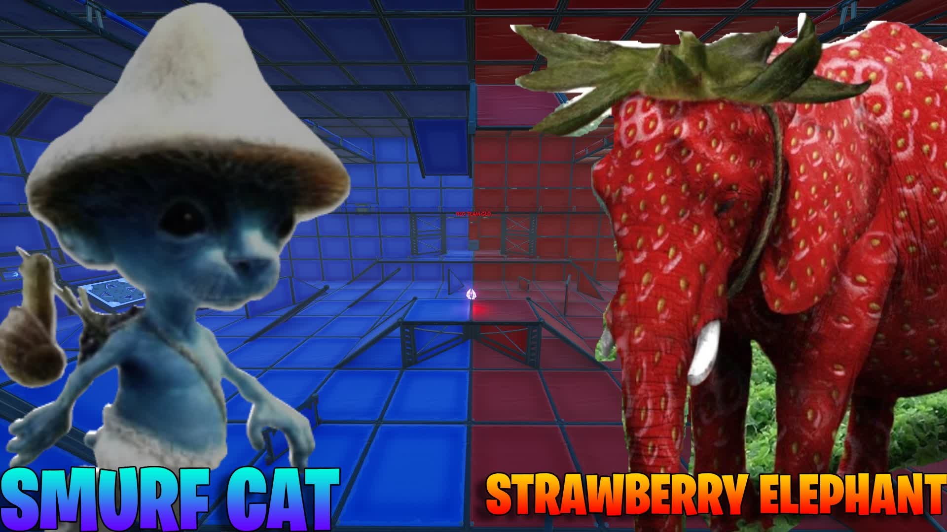 1920x1080 SMURF CAT VS STRAWBERRY ELEPHANT BATTLE 1258 9525 1647, Desktop