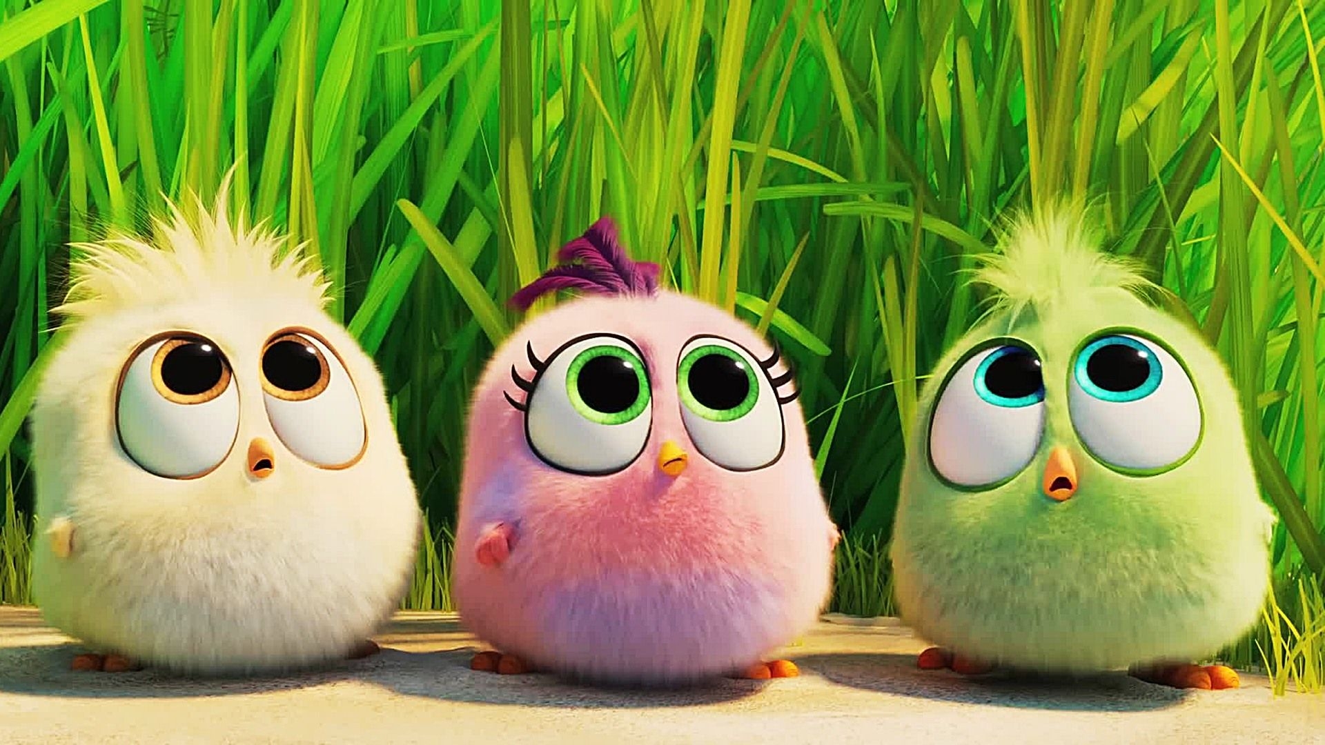 1920x1080 The Angry Birds Movie 2 HD Wallpaper, Desktop