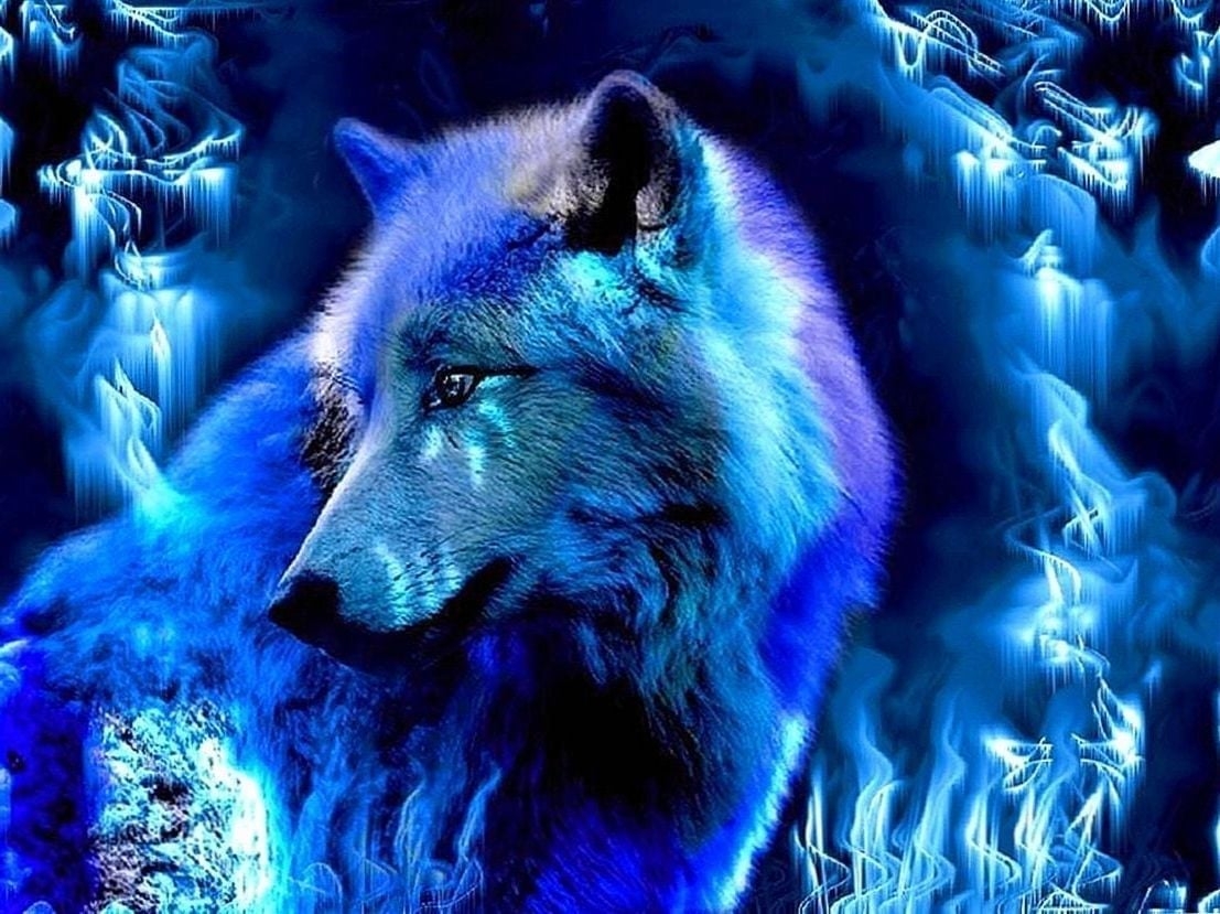 1110x830 Dark Blue Wolf Wallpaper, HD Dark Blue Wolf Background on WallpaperBat, Desktop