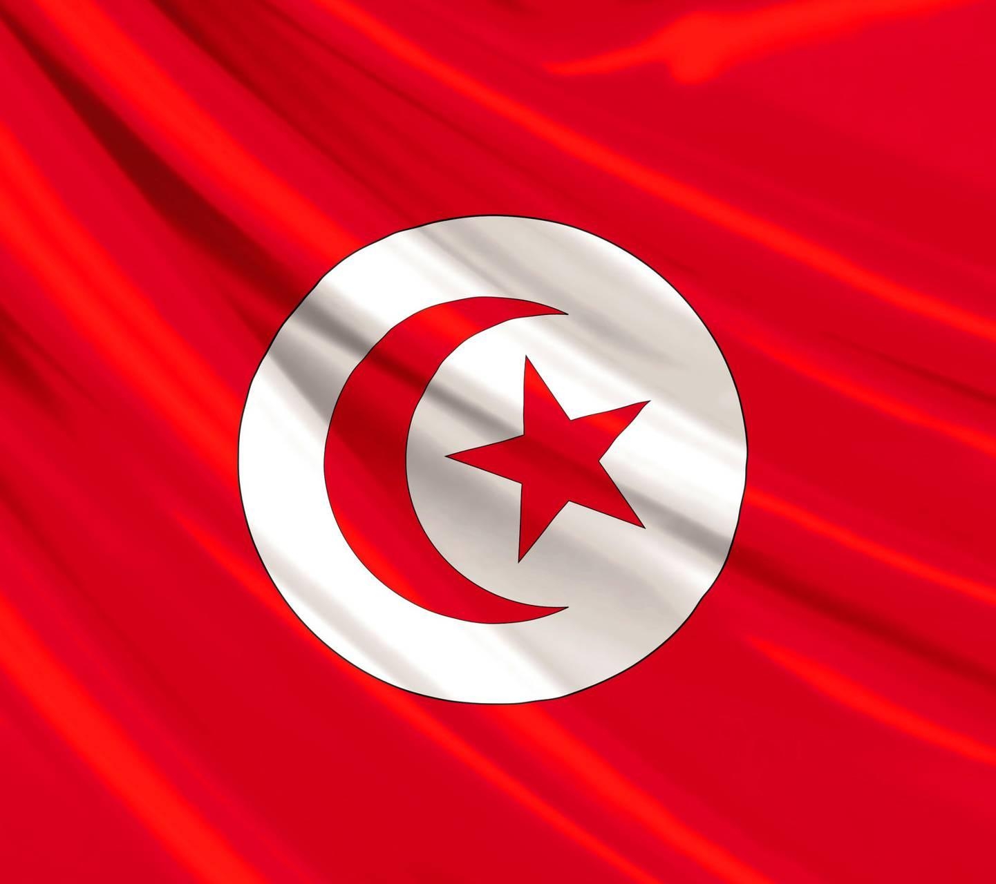 1450x1280 Tunisia Flag Wallpaper, Desktop