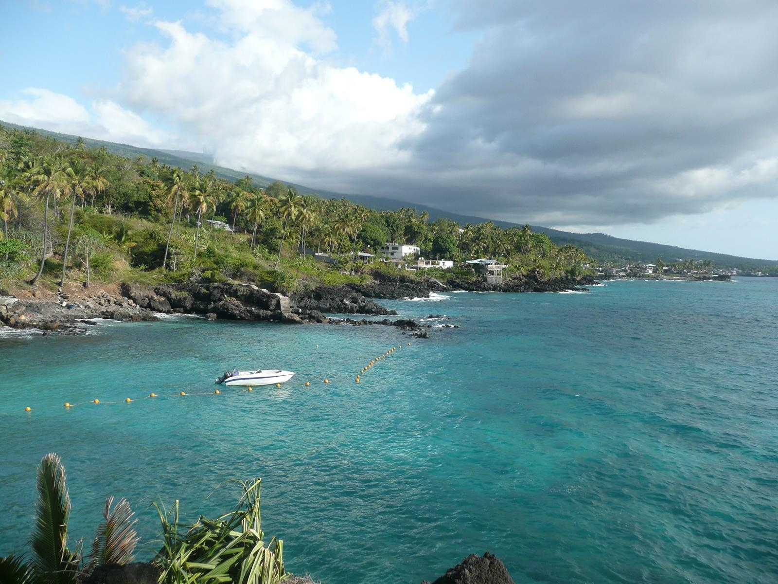 1600x1200 comoros palms and sea. HD Windows Wallpaper, Desktop