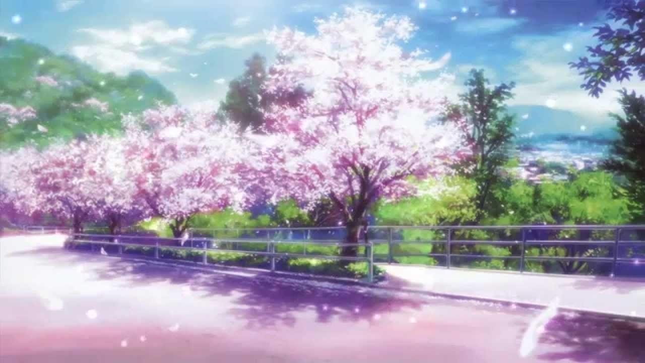 1280x720 Cherry Blossoms Animated Wallpaper, Desktop