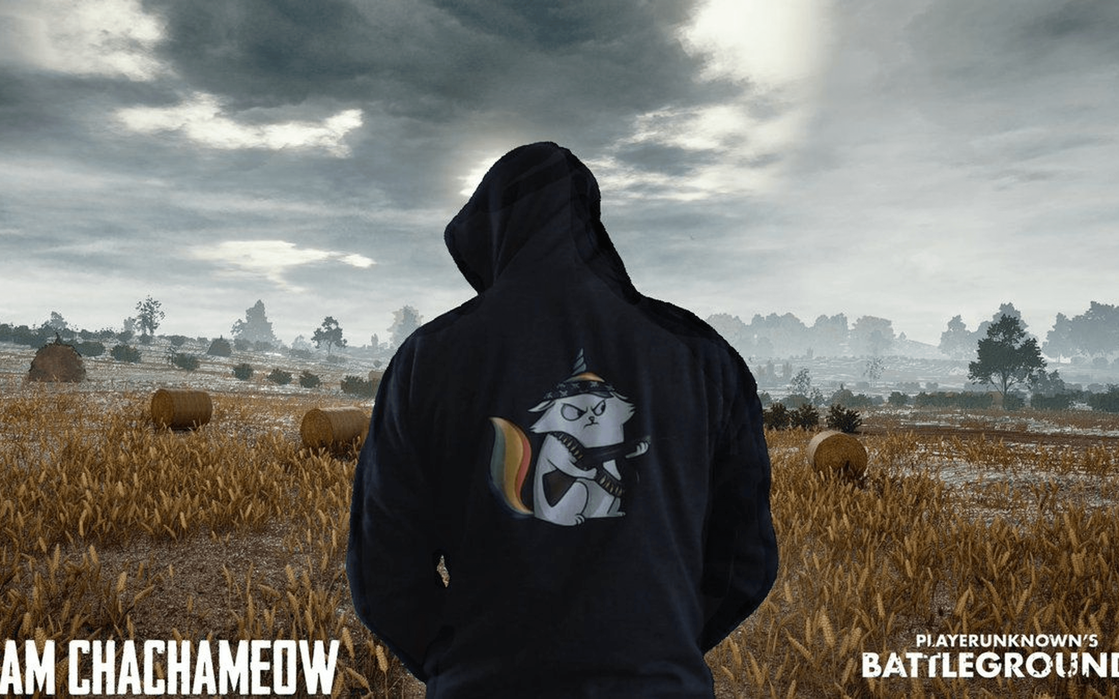 3840x2400 4K Ultra HD 16:10 Team Chachameow Pubg Wallpaper, Games Wallpaper, Desktop