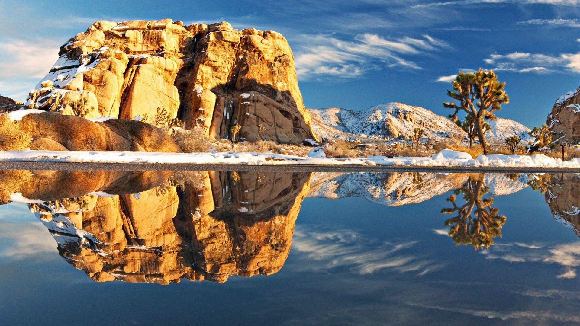 1920x1080 Background Joshua Tree National Park Afari On HD Photo High, Desktop